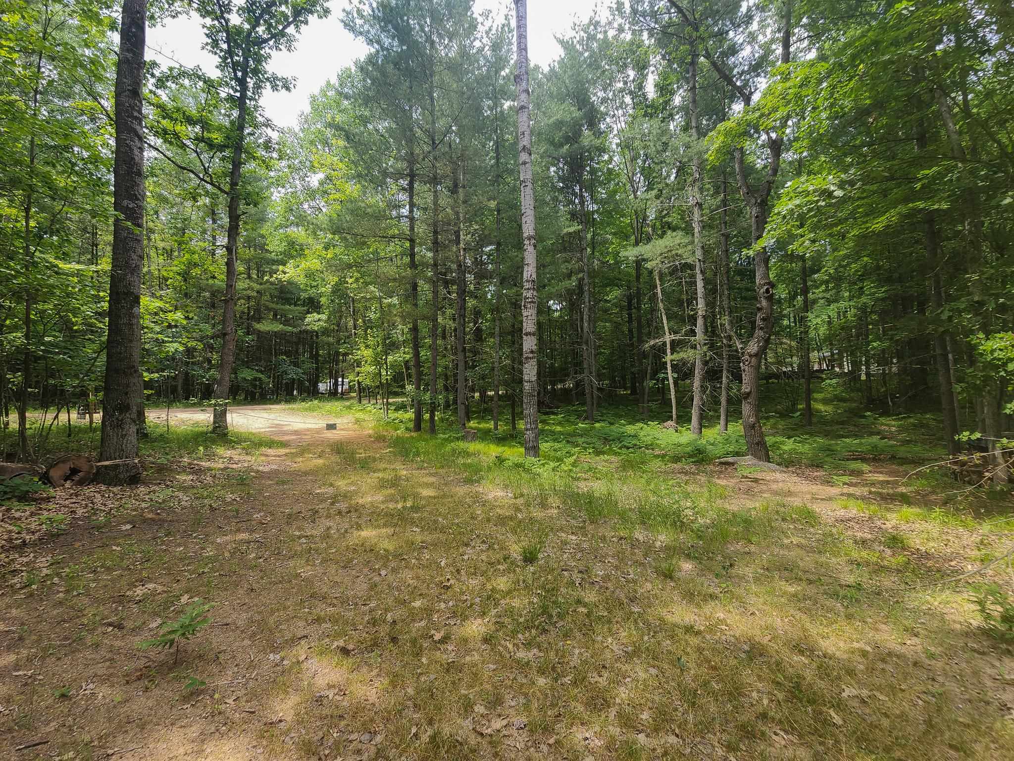 4537 Pine Run Road Property Photo 39