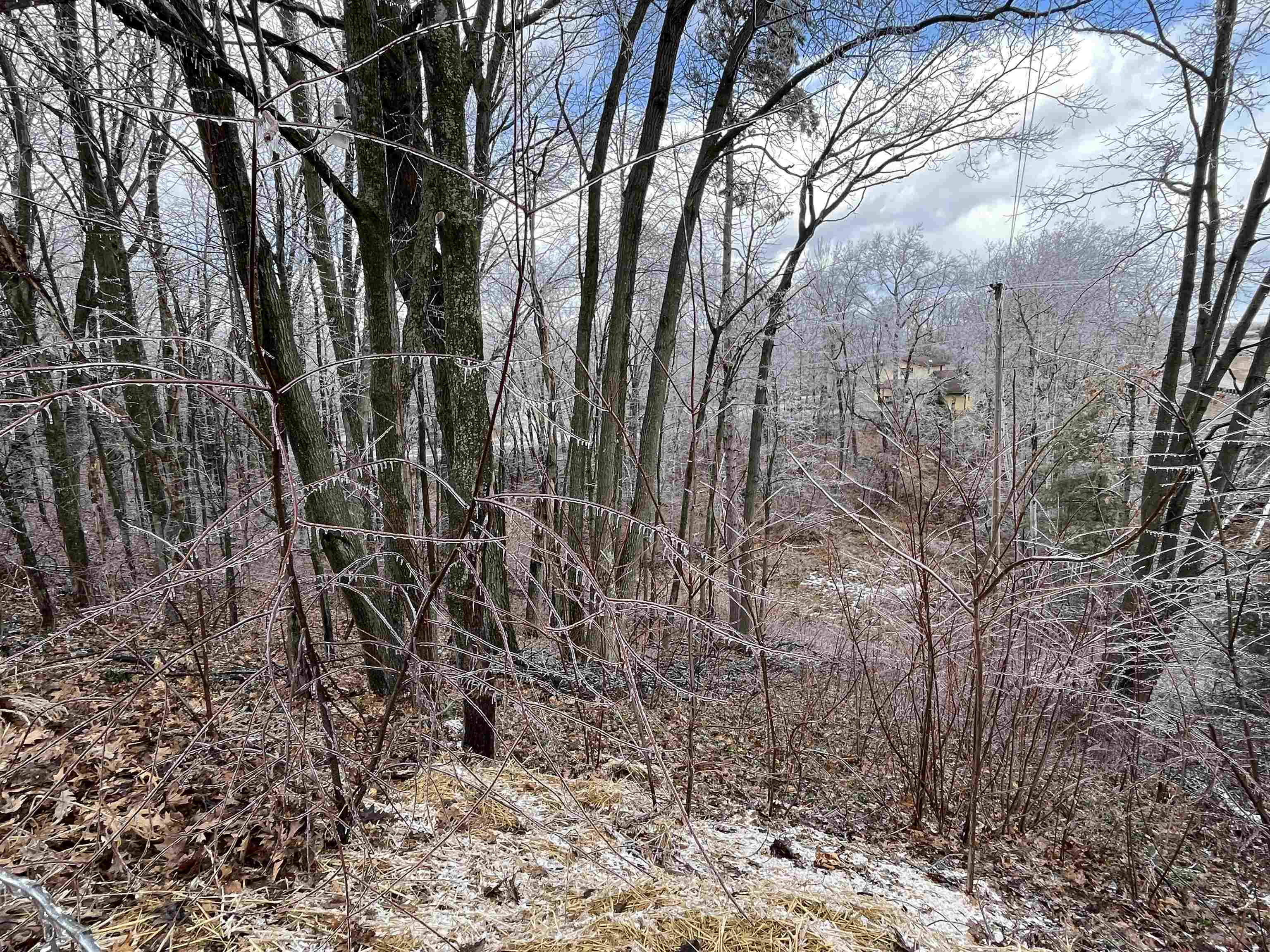 3265 Bischoff Road Property Photo 46
