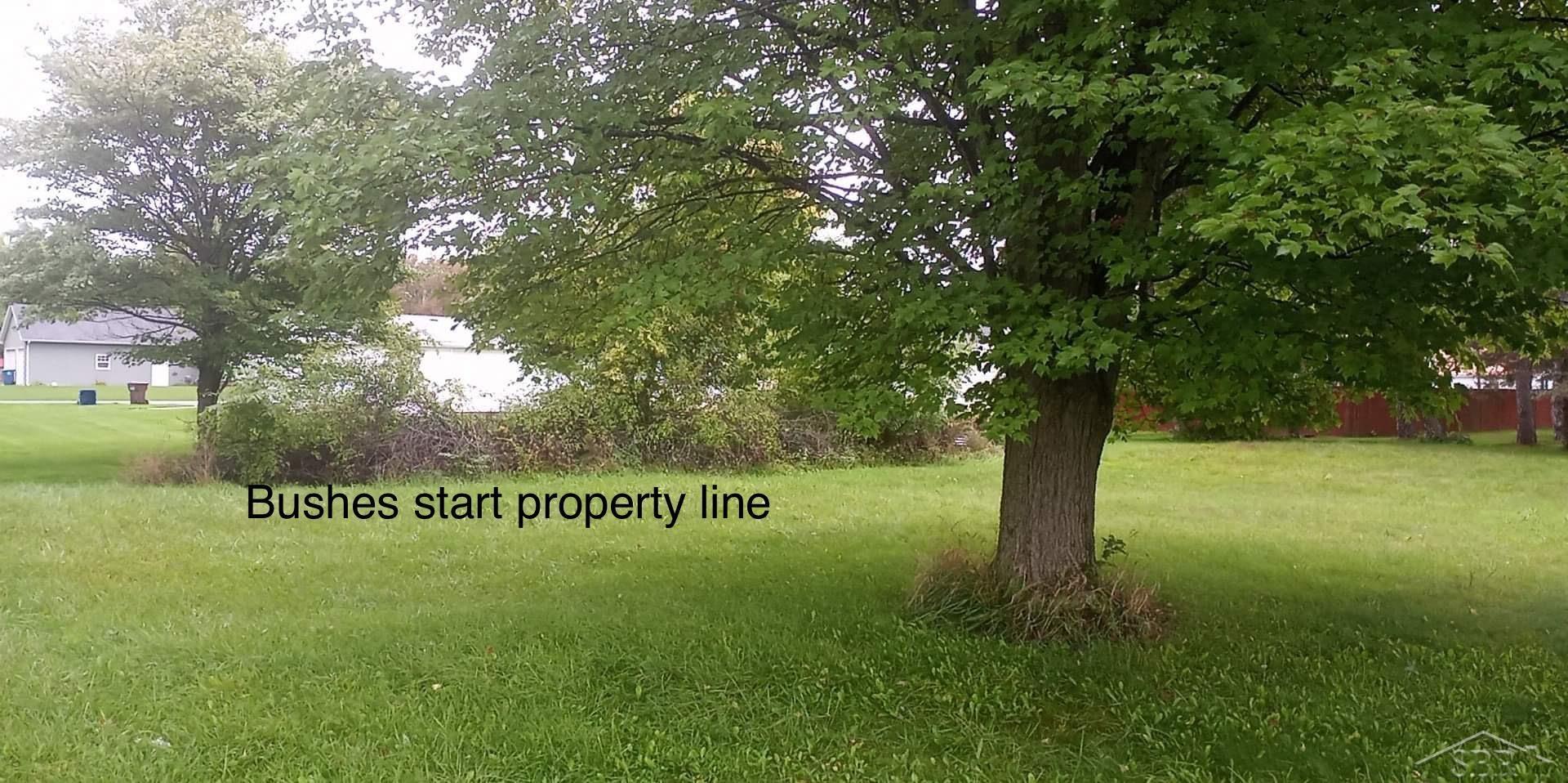 0 Simons Street Property Photo 3