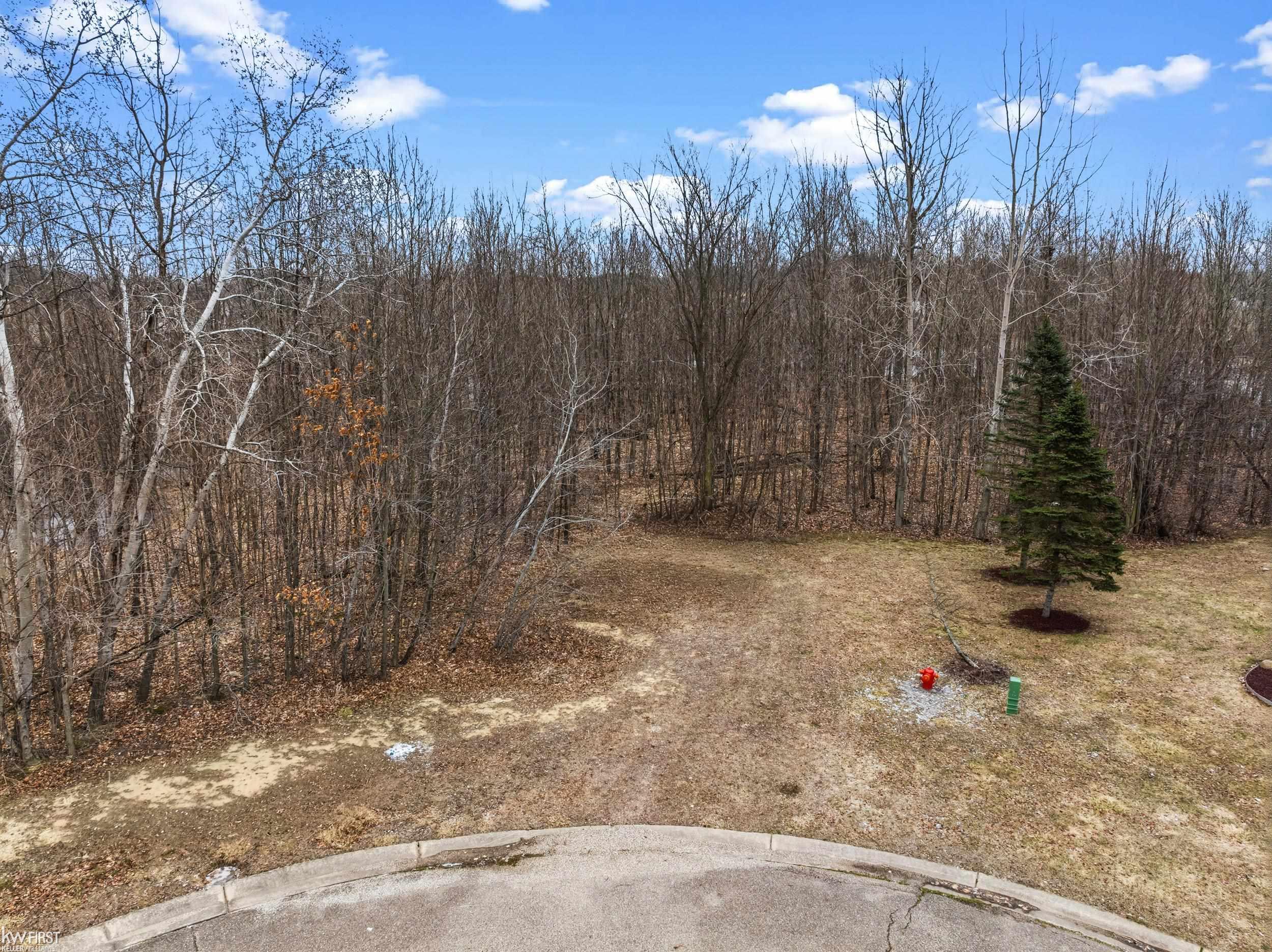 0 High Oaks Trail Property Photo 6