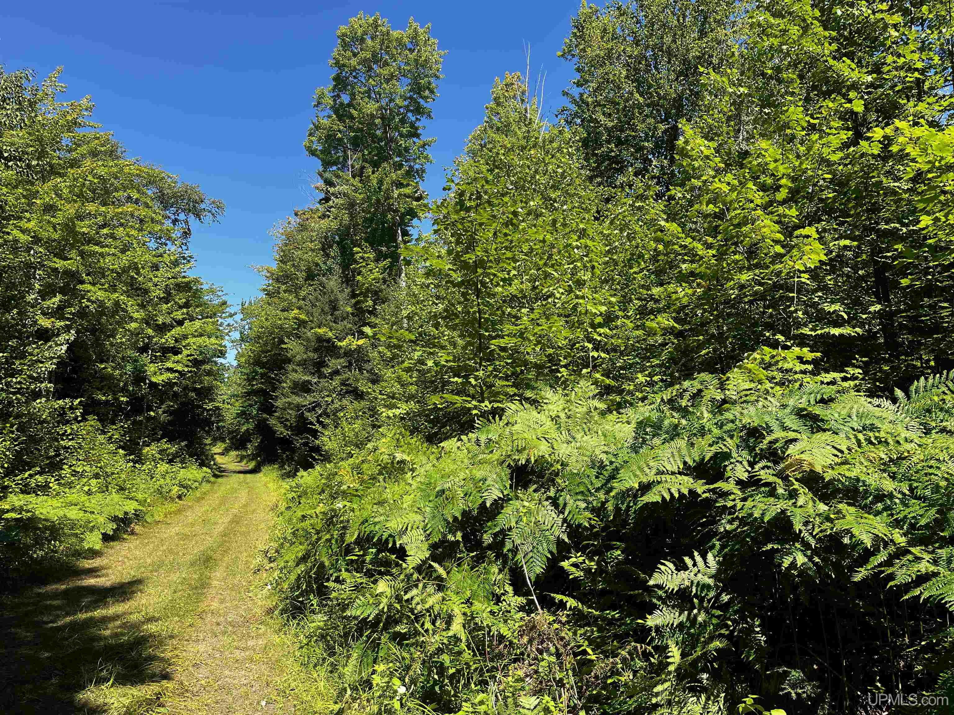 56 Acres Halverson Road Property Photo 1