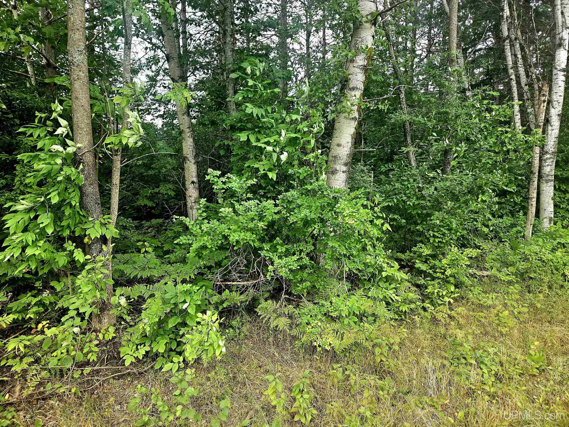 Tbd Lot 19 Summit View Drive Property Photo 4