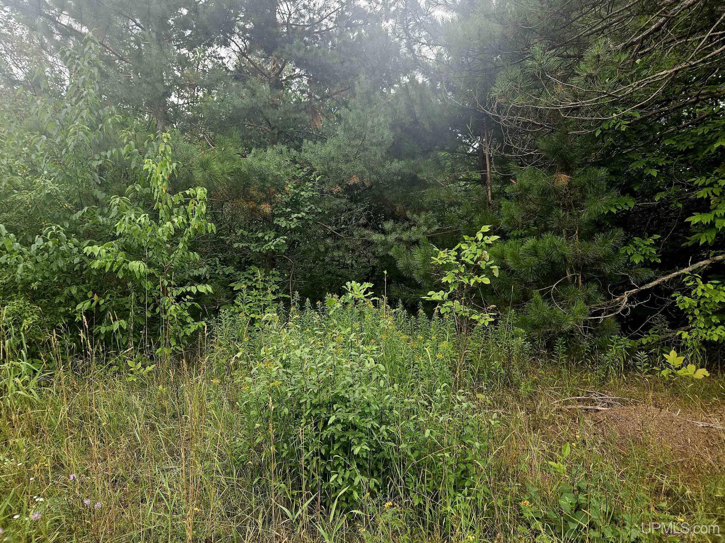 Tbd Lot 19 Summit View Drive Property Photo 5