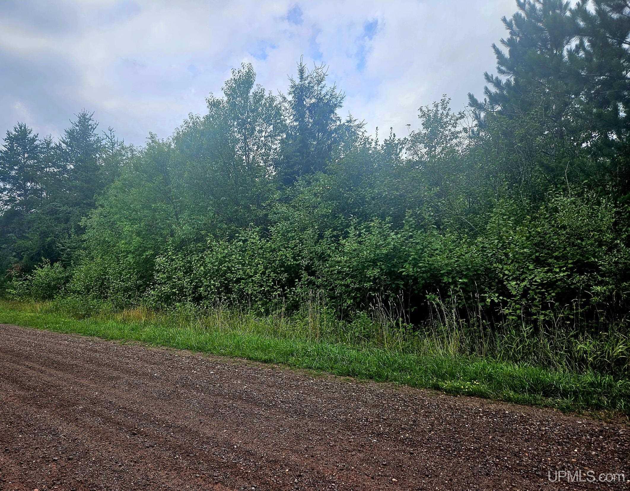 Tbd Lot 19 Summit View Drive Property Photo 6