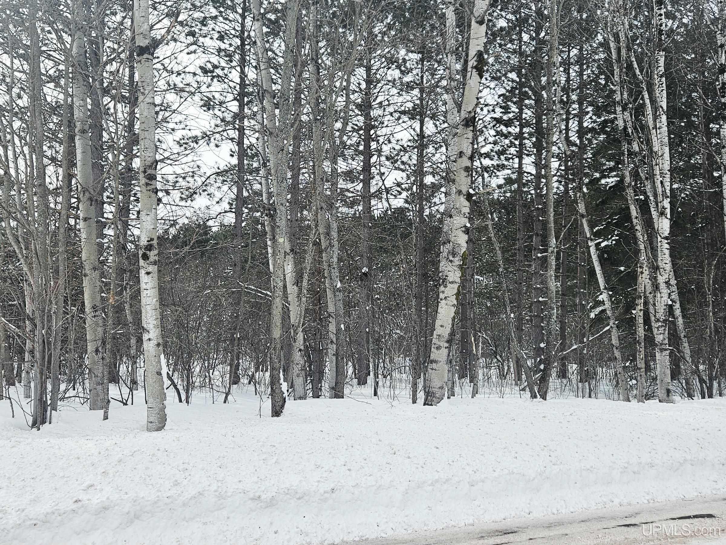 Tbd Lot 19 Summit View Drive Property Photo 9
