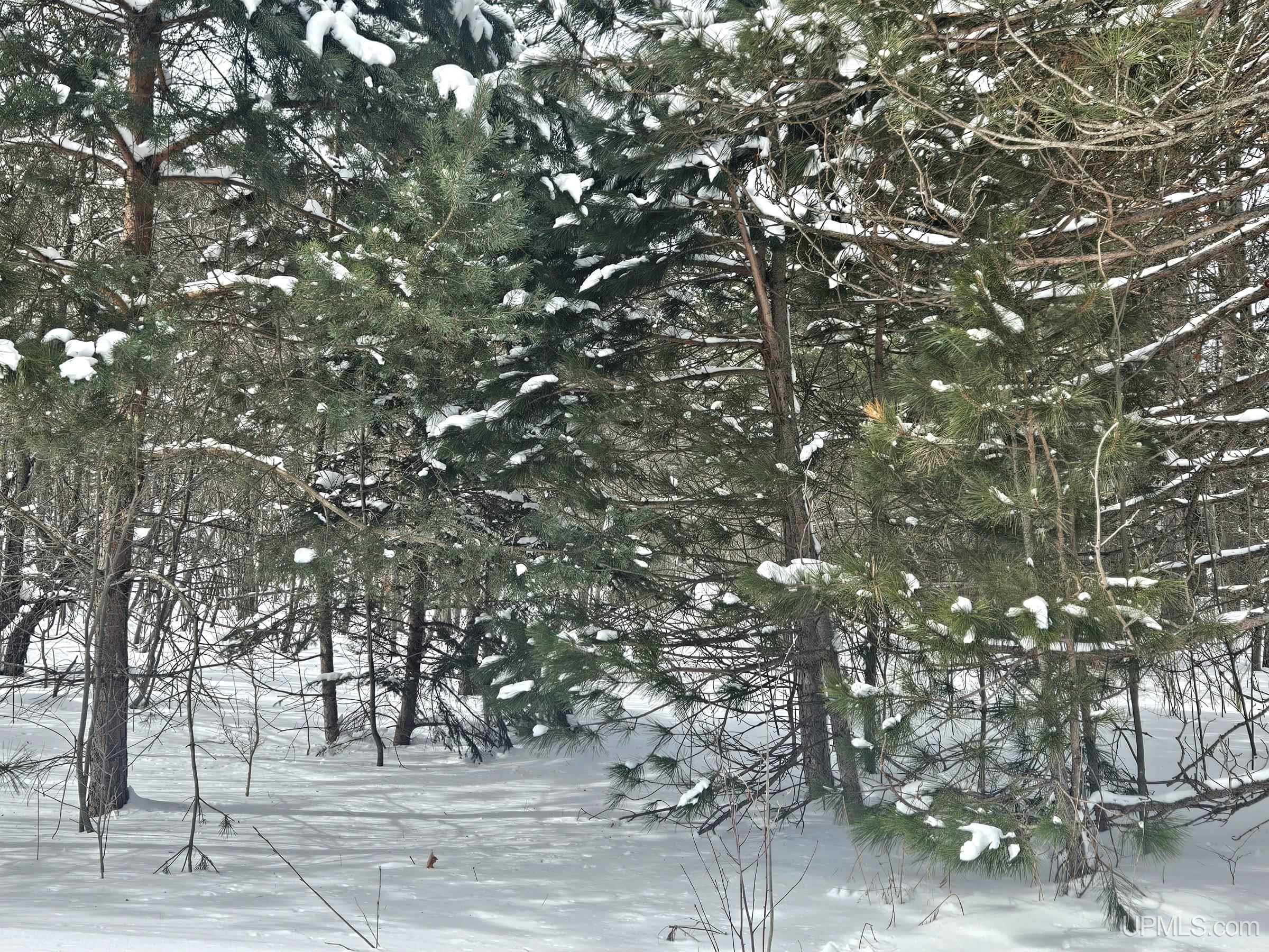 Tbd Lot 19 Summit View Drive Property Photo 10