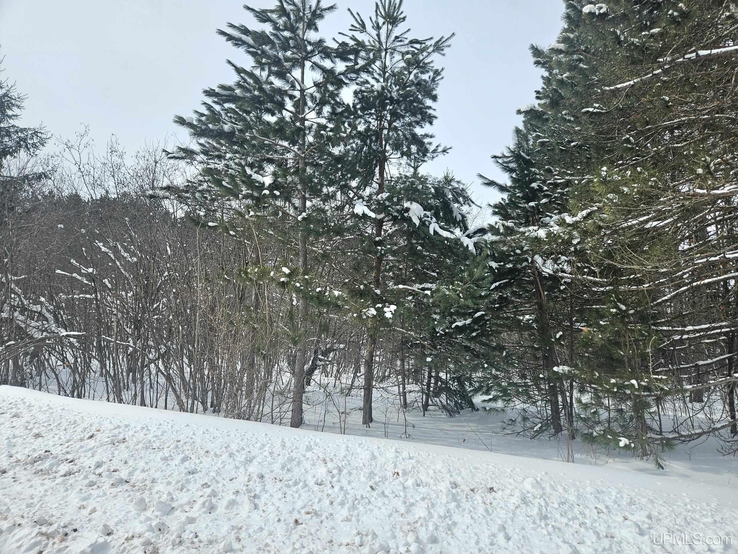Tbd Lot 19 Summit View Drive Property Photo 11