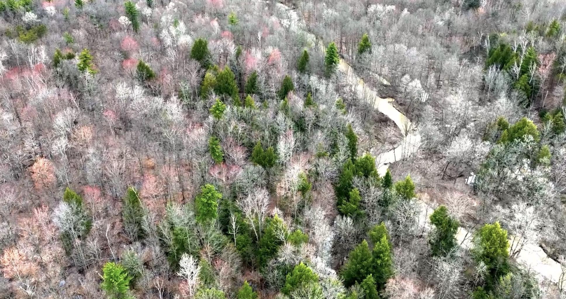 Rynn Road Property Photo 2