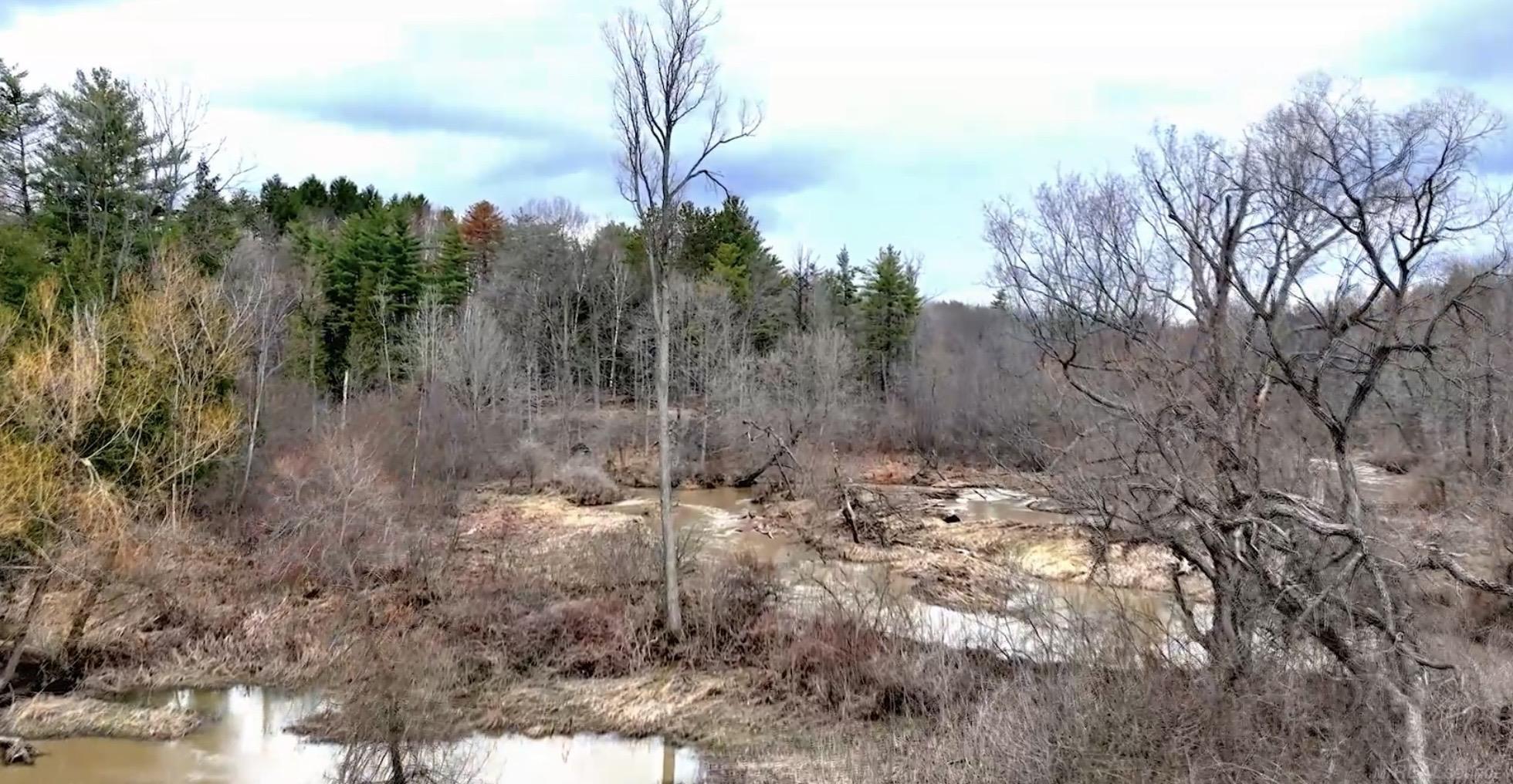 Rynn Road Property Photo 8