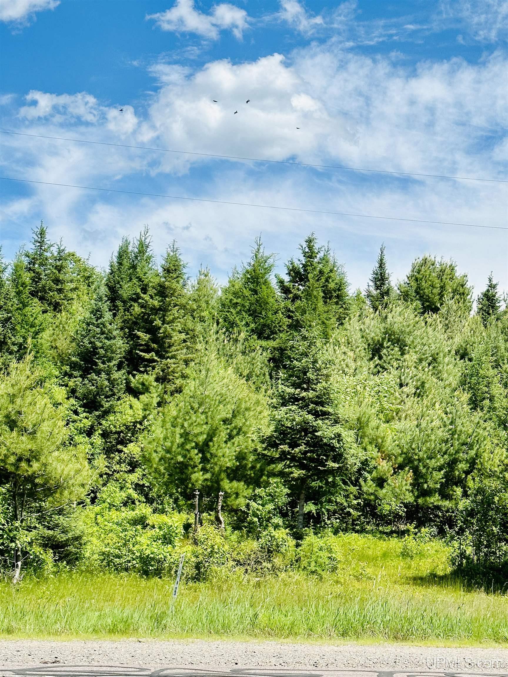 Tbd M95 Highway Property Photo 1