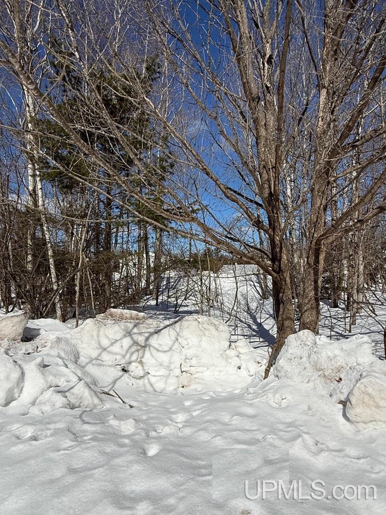 Tbd2 Datolite Street Property Photo 5