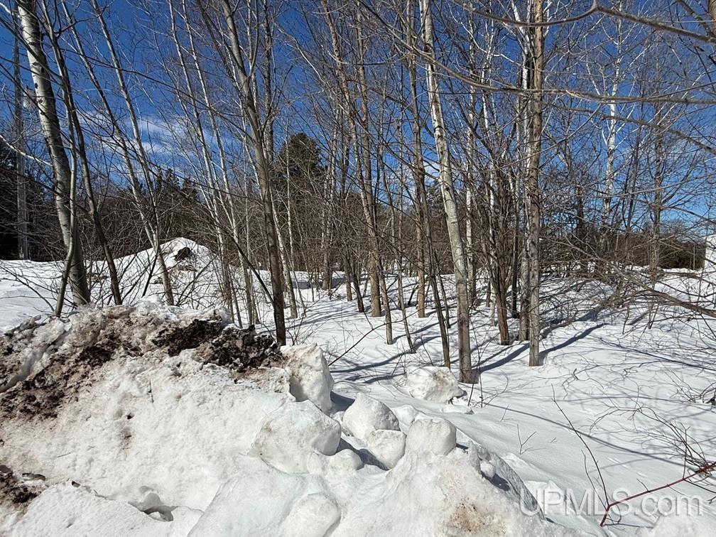 Tbd2 Datolite Street Property Photo 7