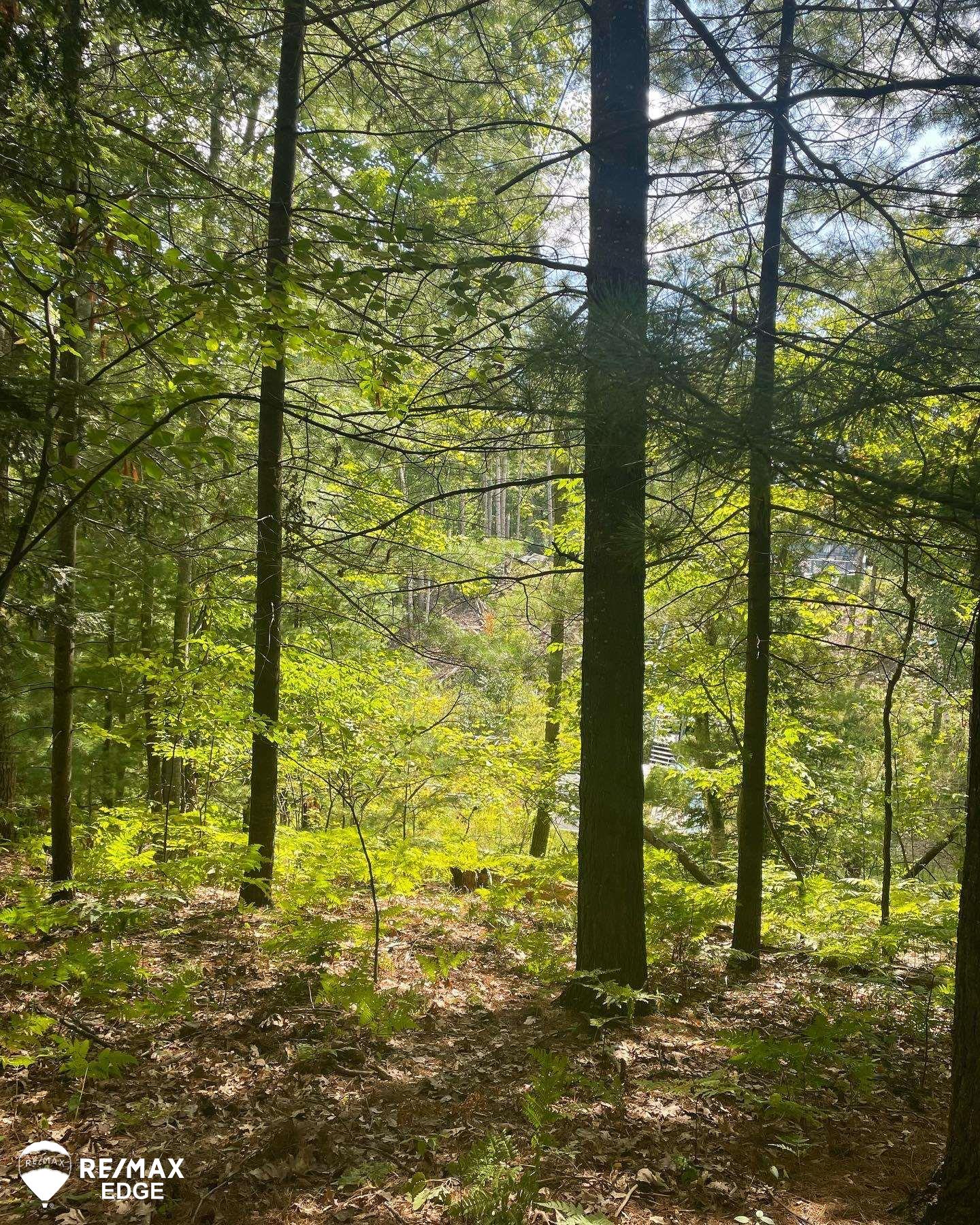0 Eagle Nest Lane Property Photo 1