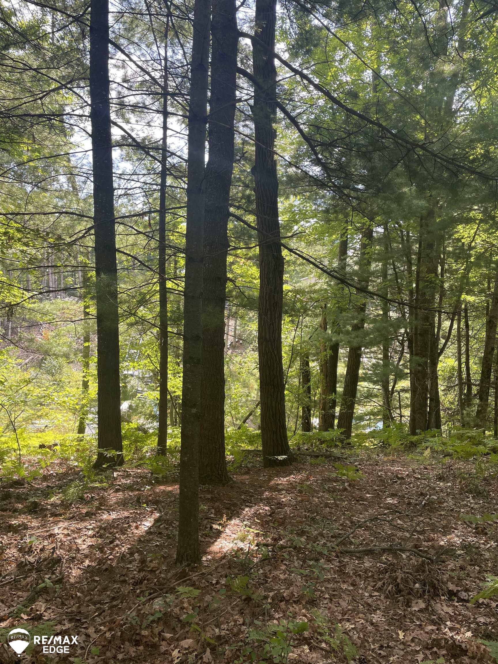 0 Eagle Nest Lane Property Photo 2
