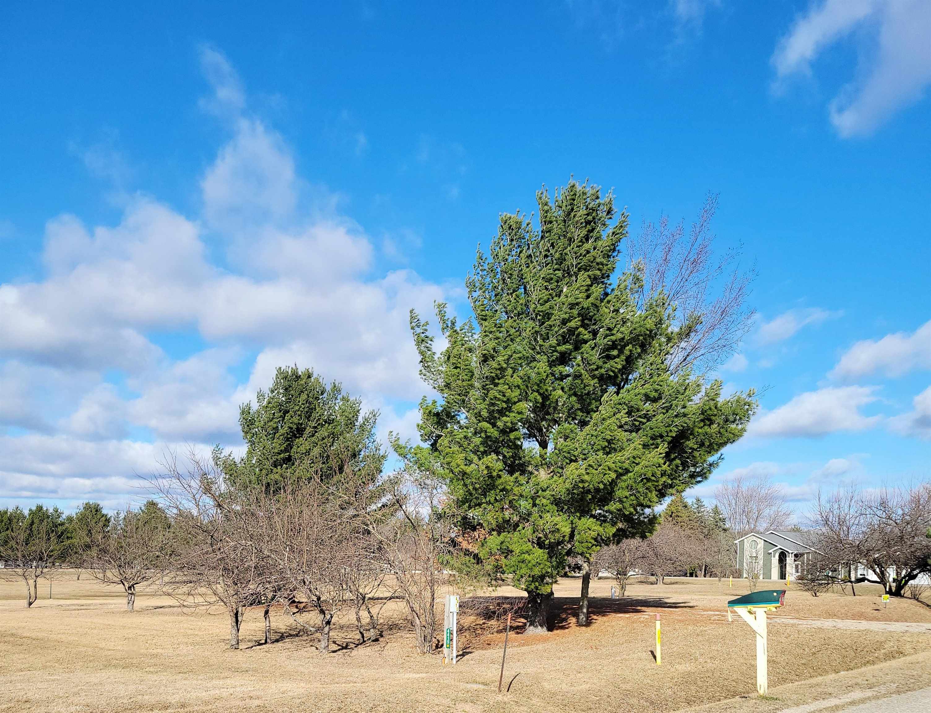 4415 Hamilton Way Property Photo 4