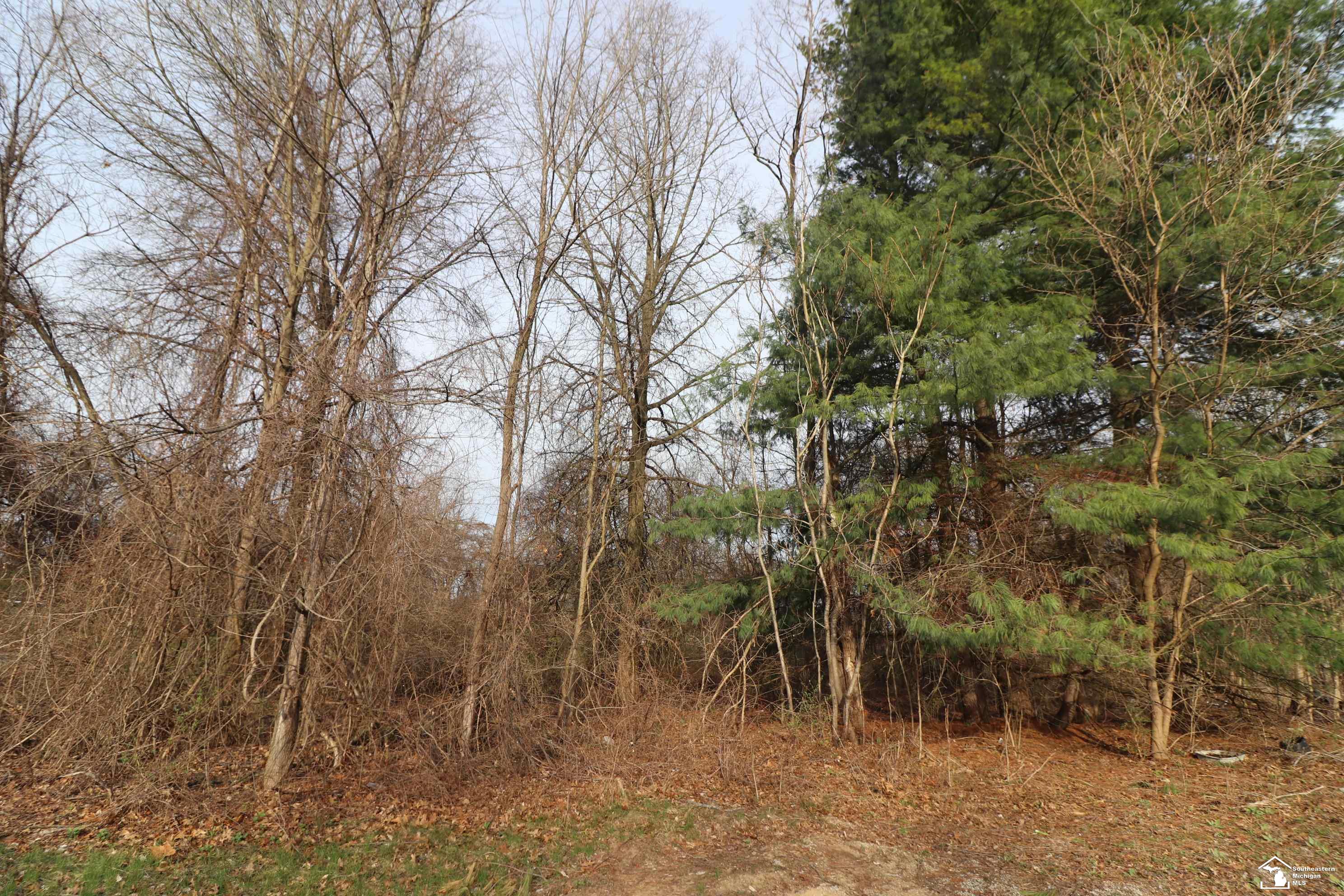 2630 W Temperance Road Property Photo 9