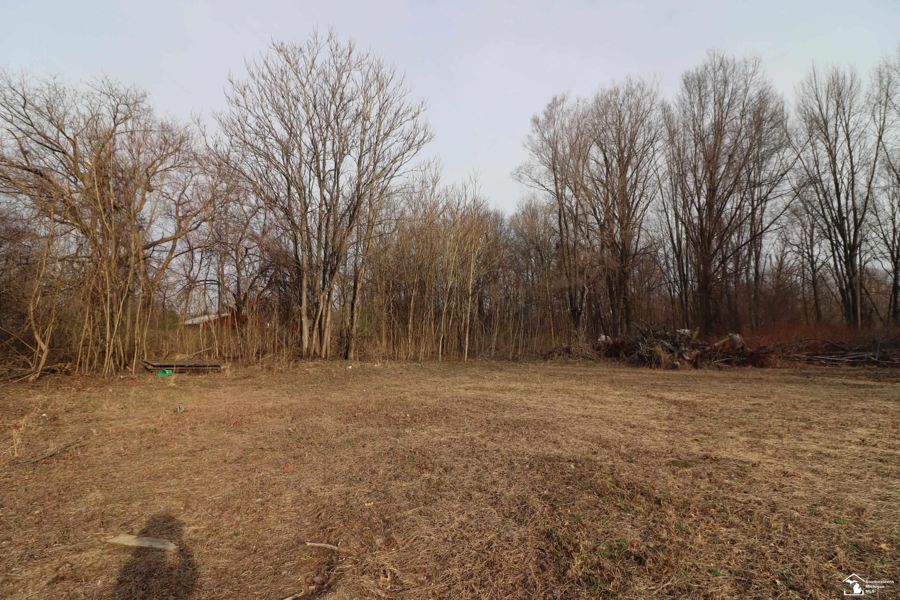 2630 W Temperance Road Property Photo 10