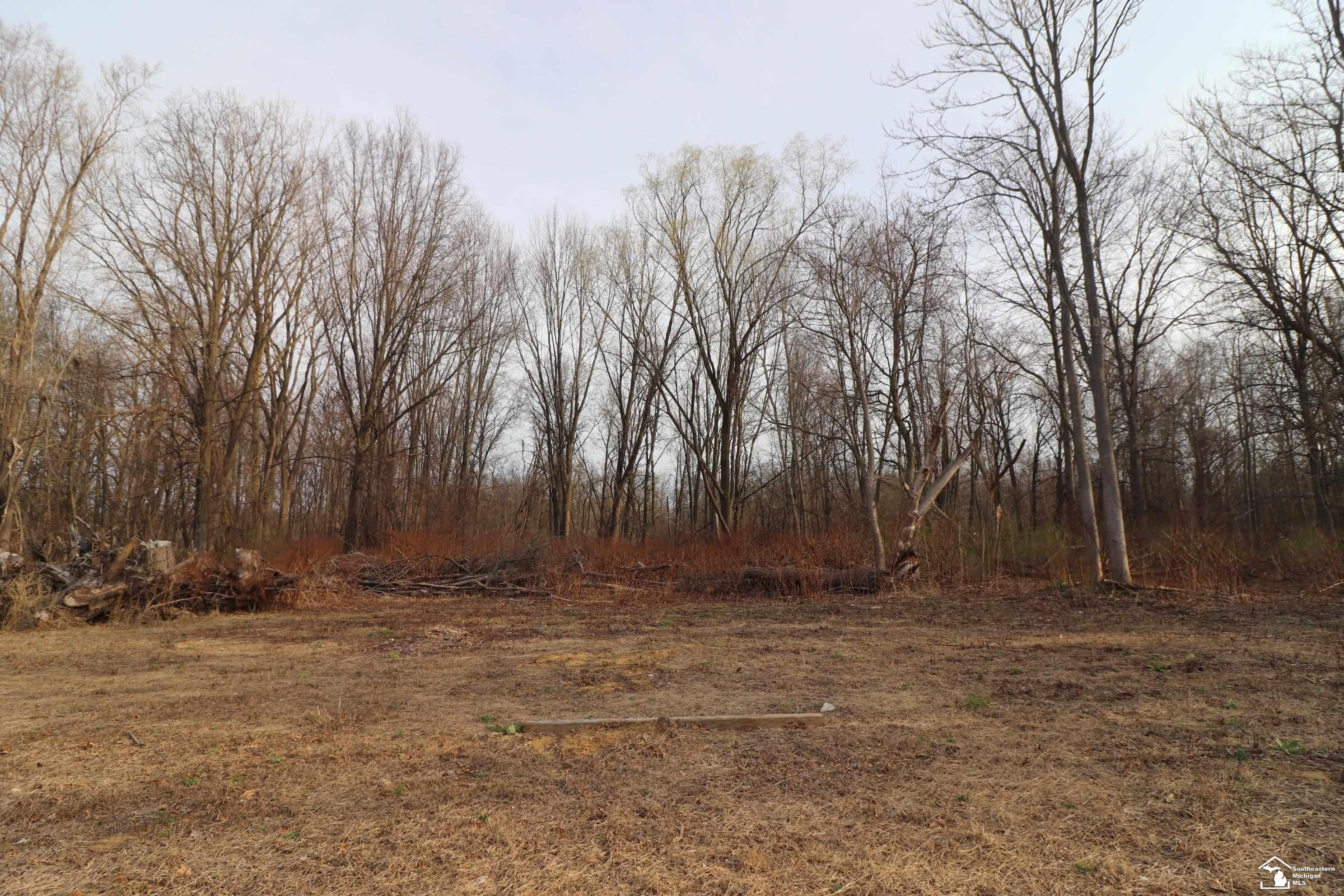 2630 W Temperance Road Property Photo 11