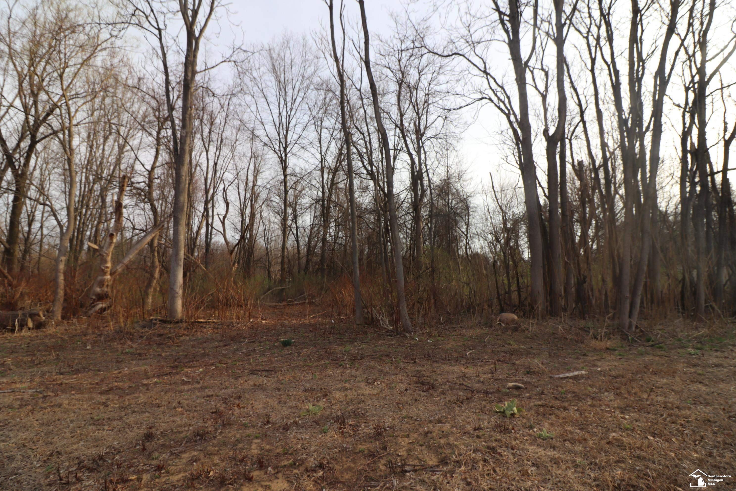 2630 W Temperance Road Property Photo 12