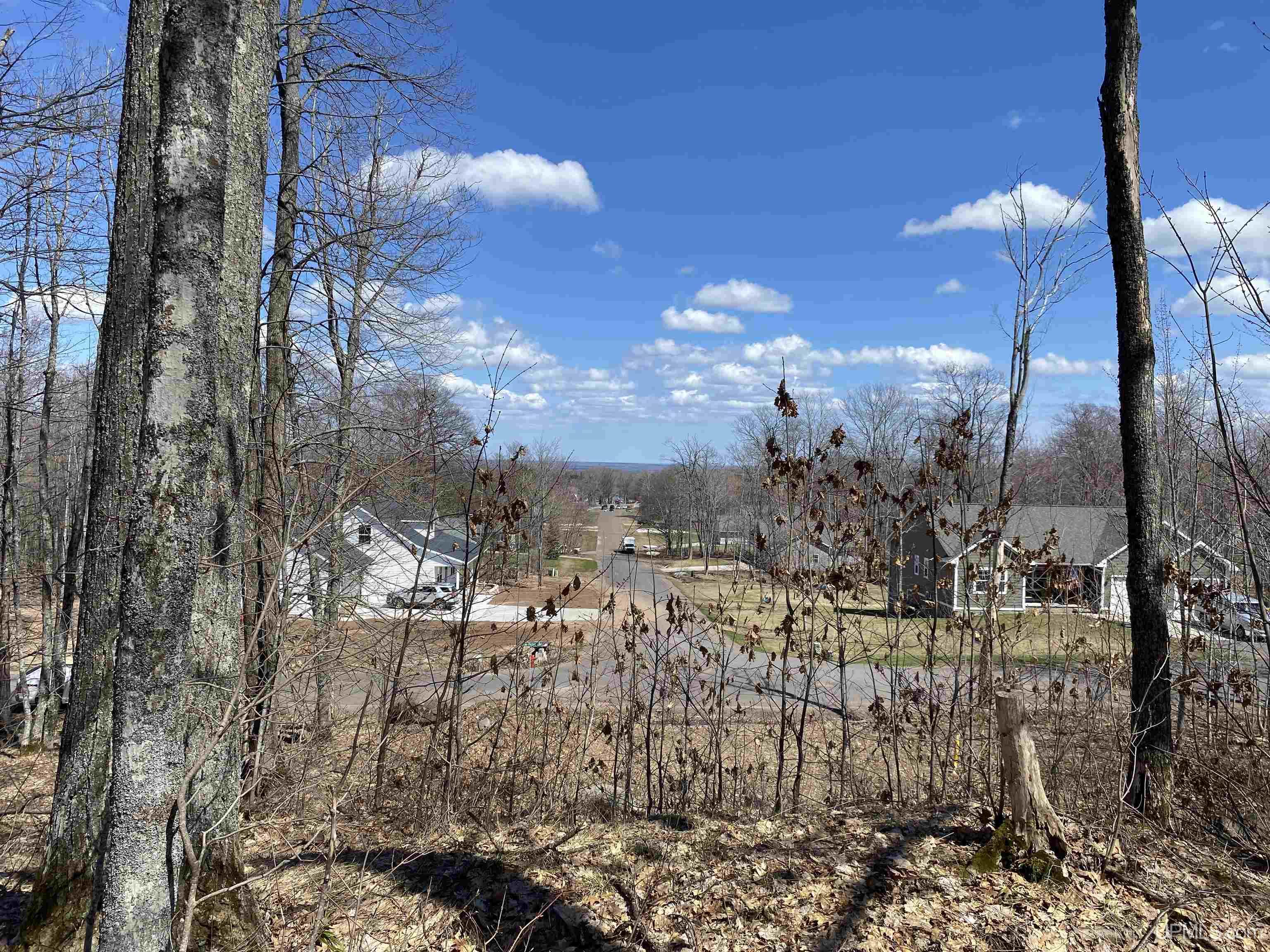 Tbd Lot 23 S Whealkate Drive Property Photo 1