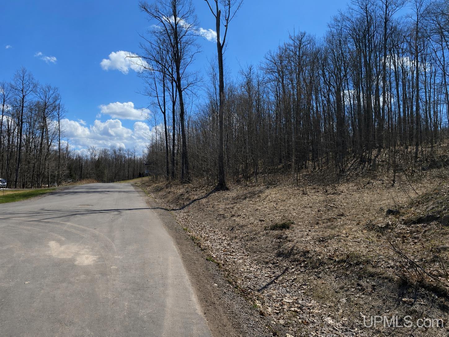Tbd Lot 23 S Whealkate Drive Property Photo 3