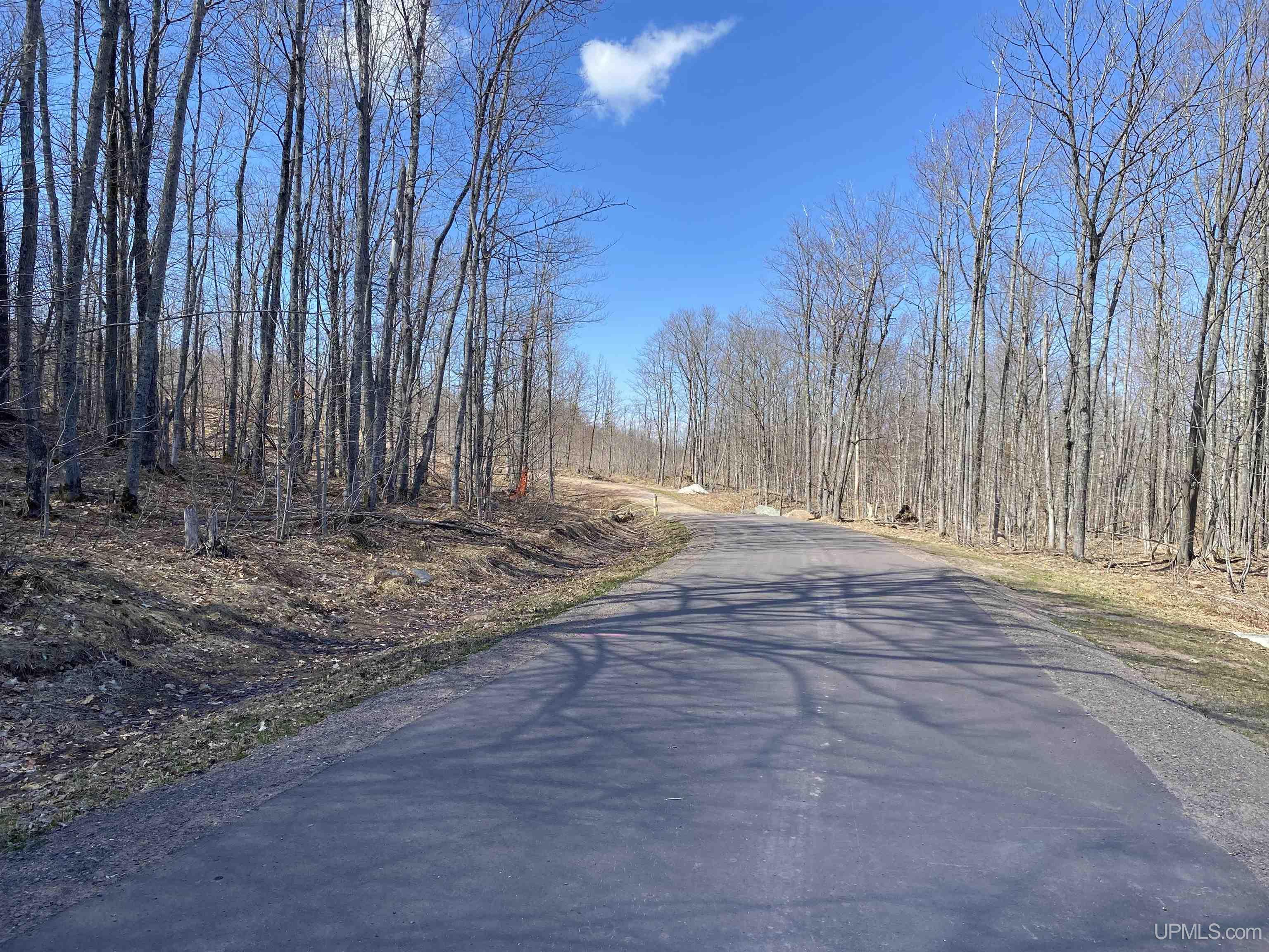 Tbd Lot 23 S Whealkate Drive Property Photo 5