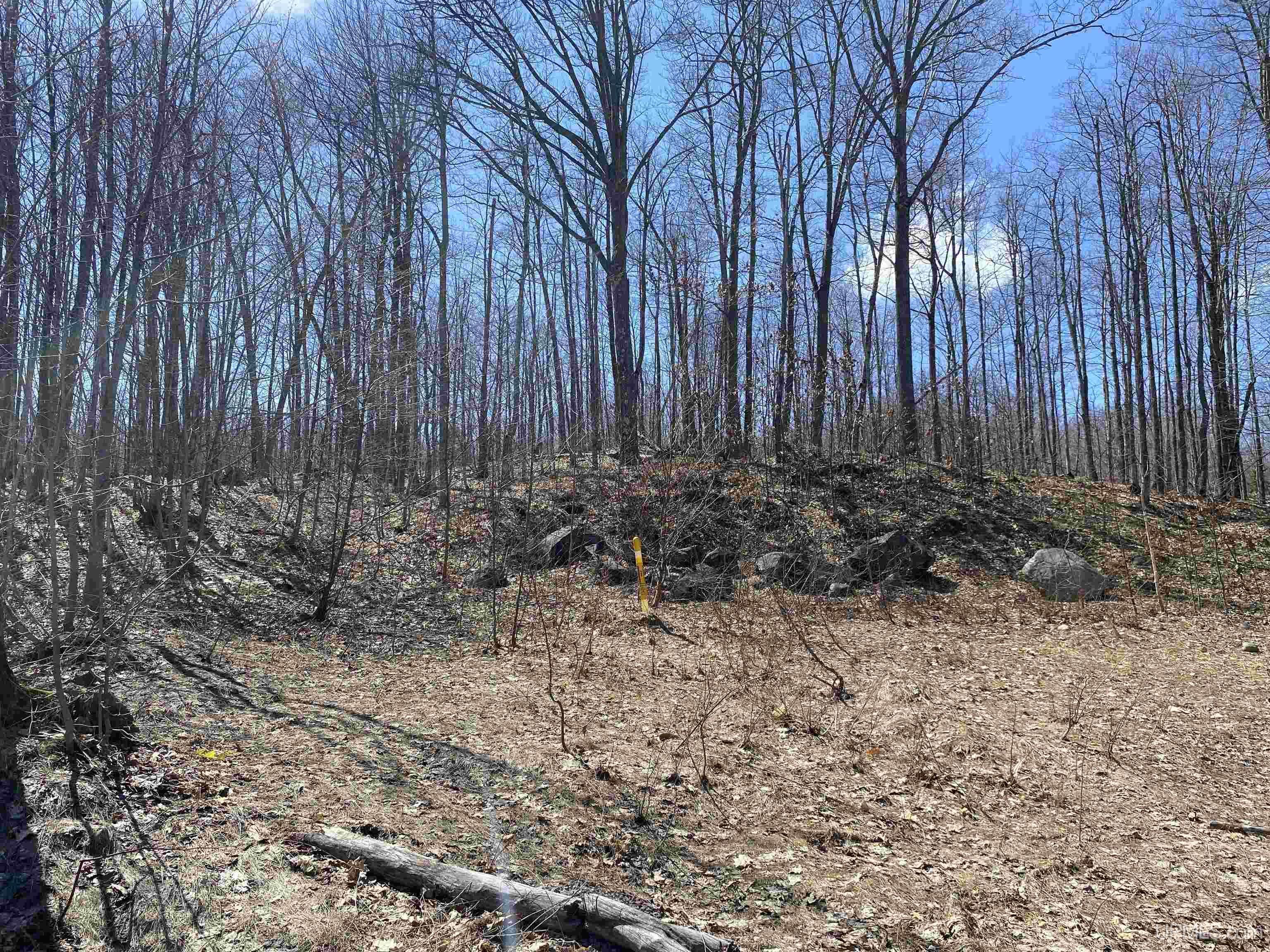 Tbd Lot 23 S Whealkate Drive Property Photo 6