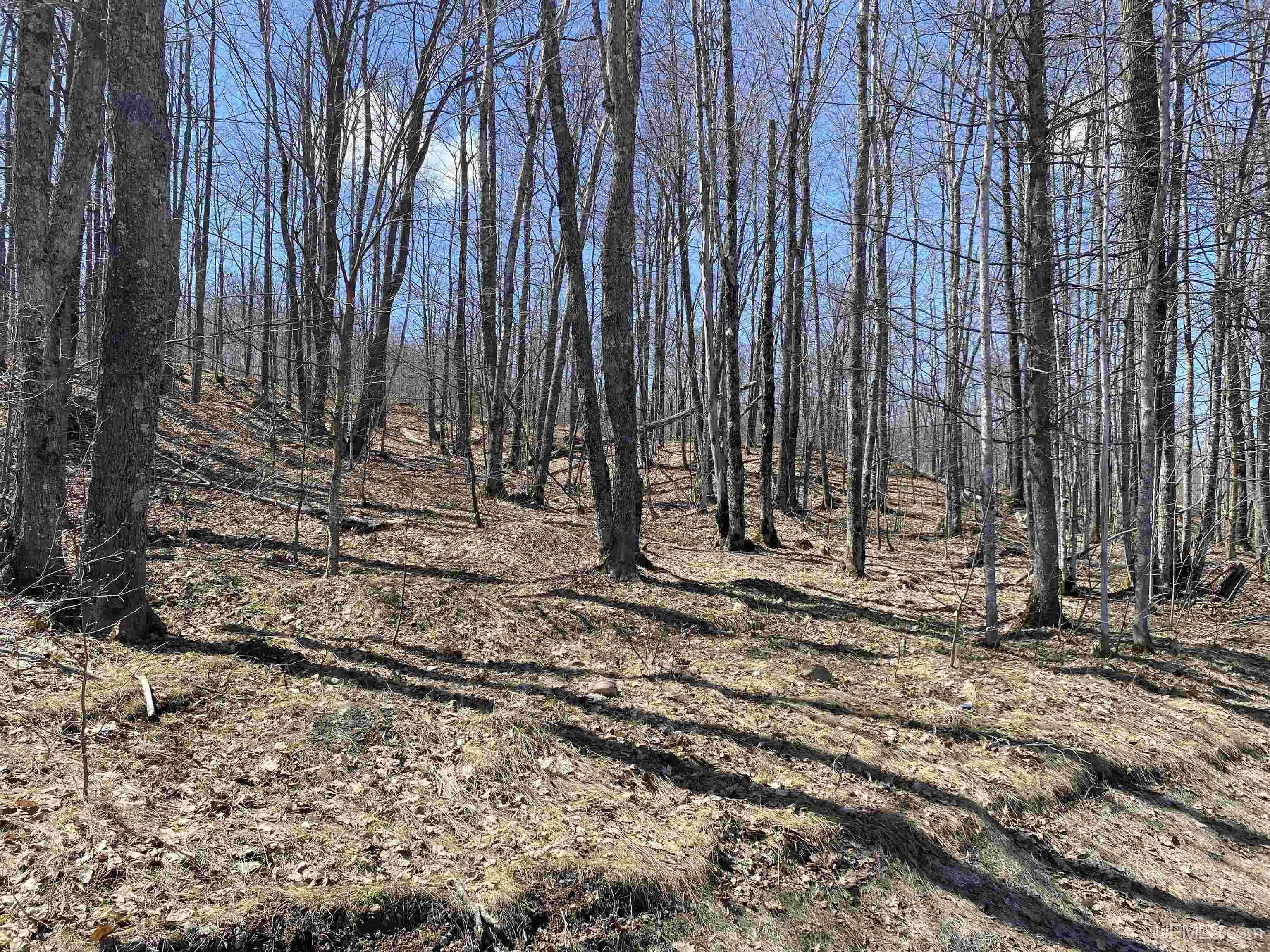 Tbd Lot 23 S Whealkate Drive Property Photo 7