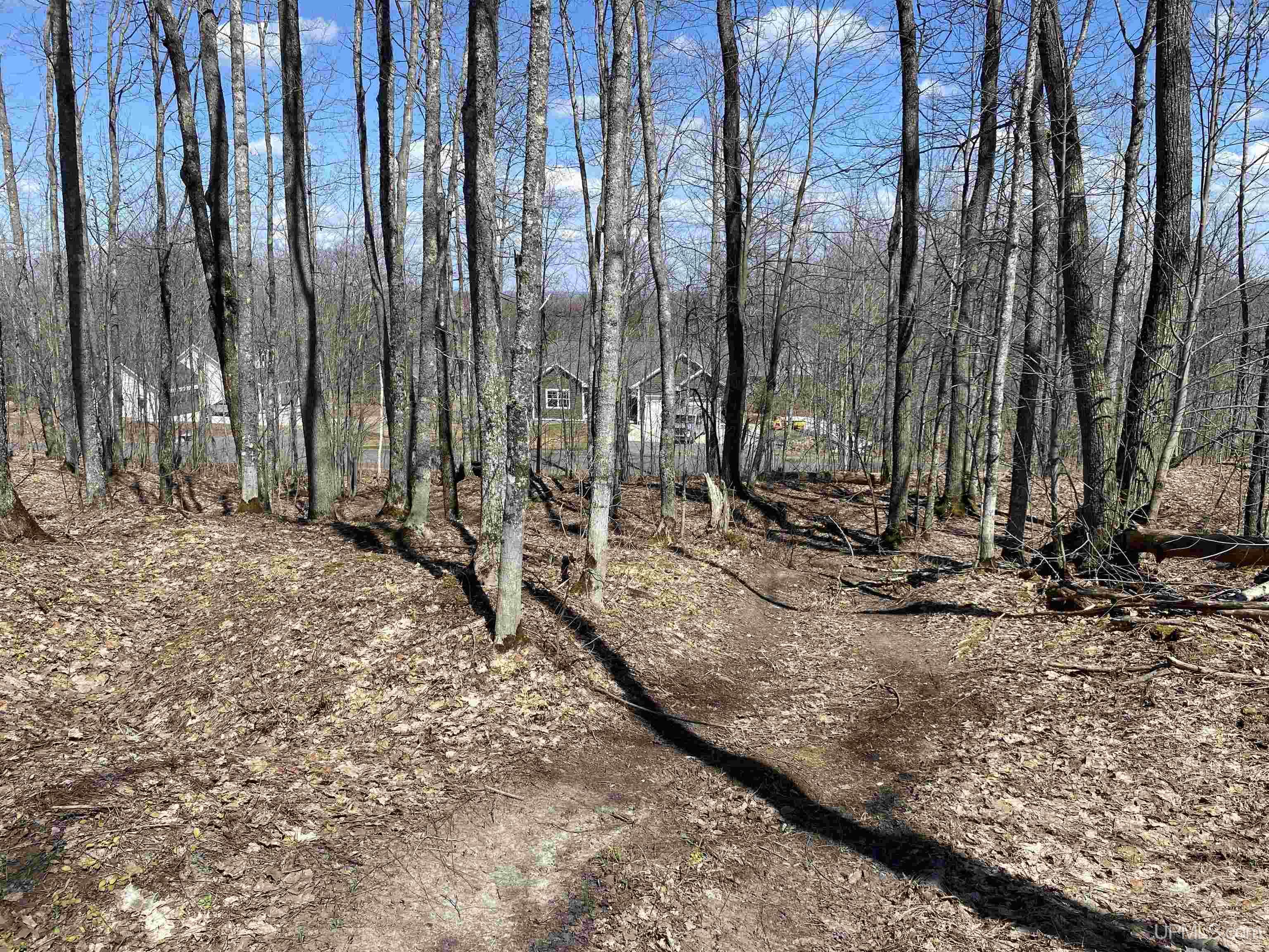 Tbd Lot 24 S Whealkate Drive Property Photo 1