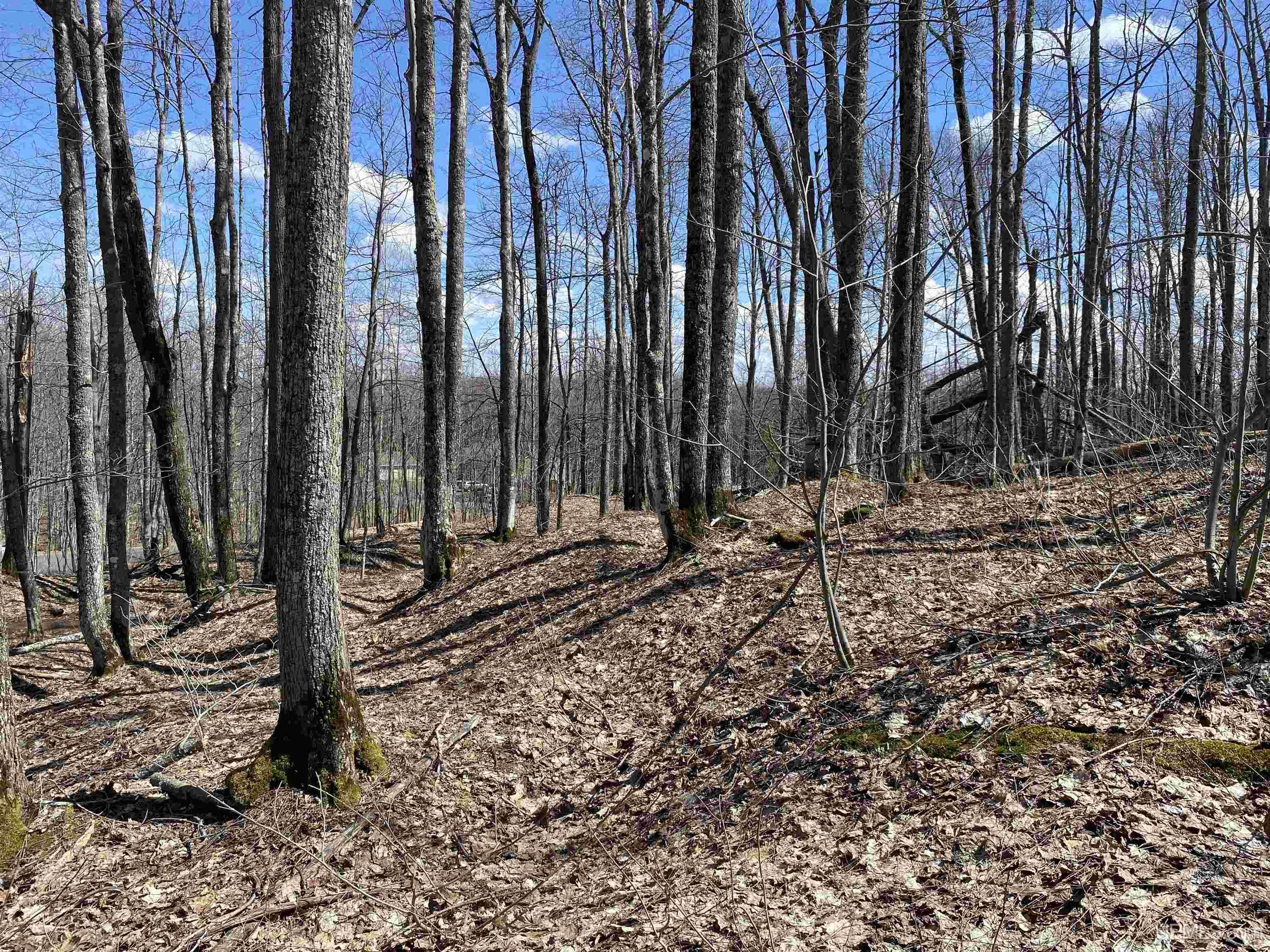 Tbd Lot 29 S Whealkate Drive Property Photo 1