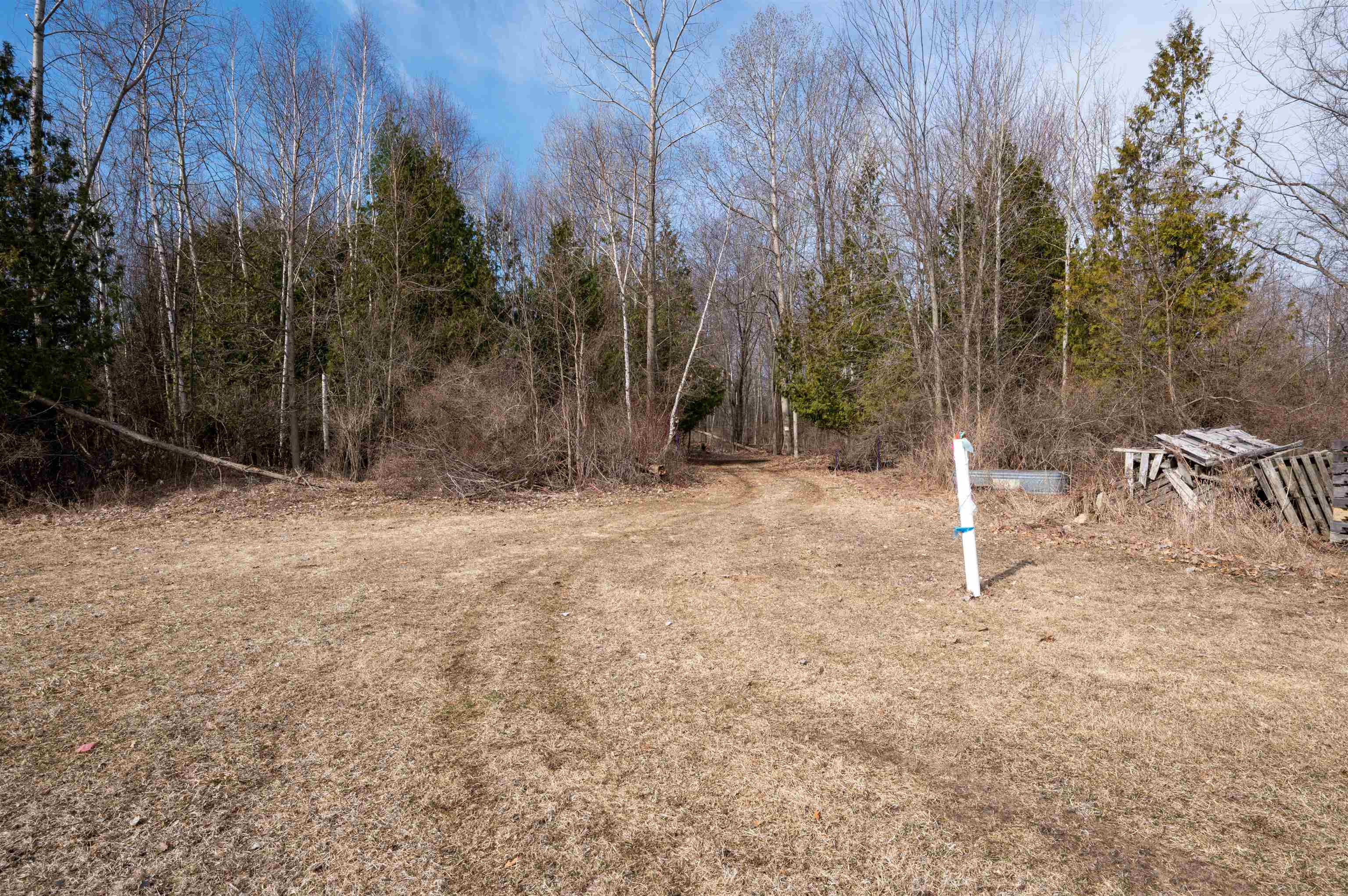 Vl Tonkey Road Property Photo 4