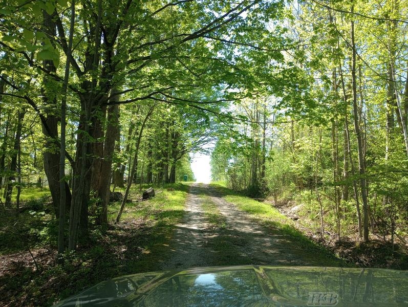 519 E Sun Oil Road Property Photo 19