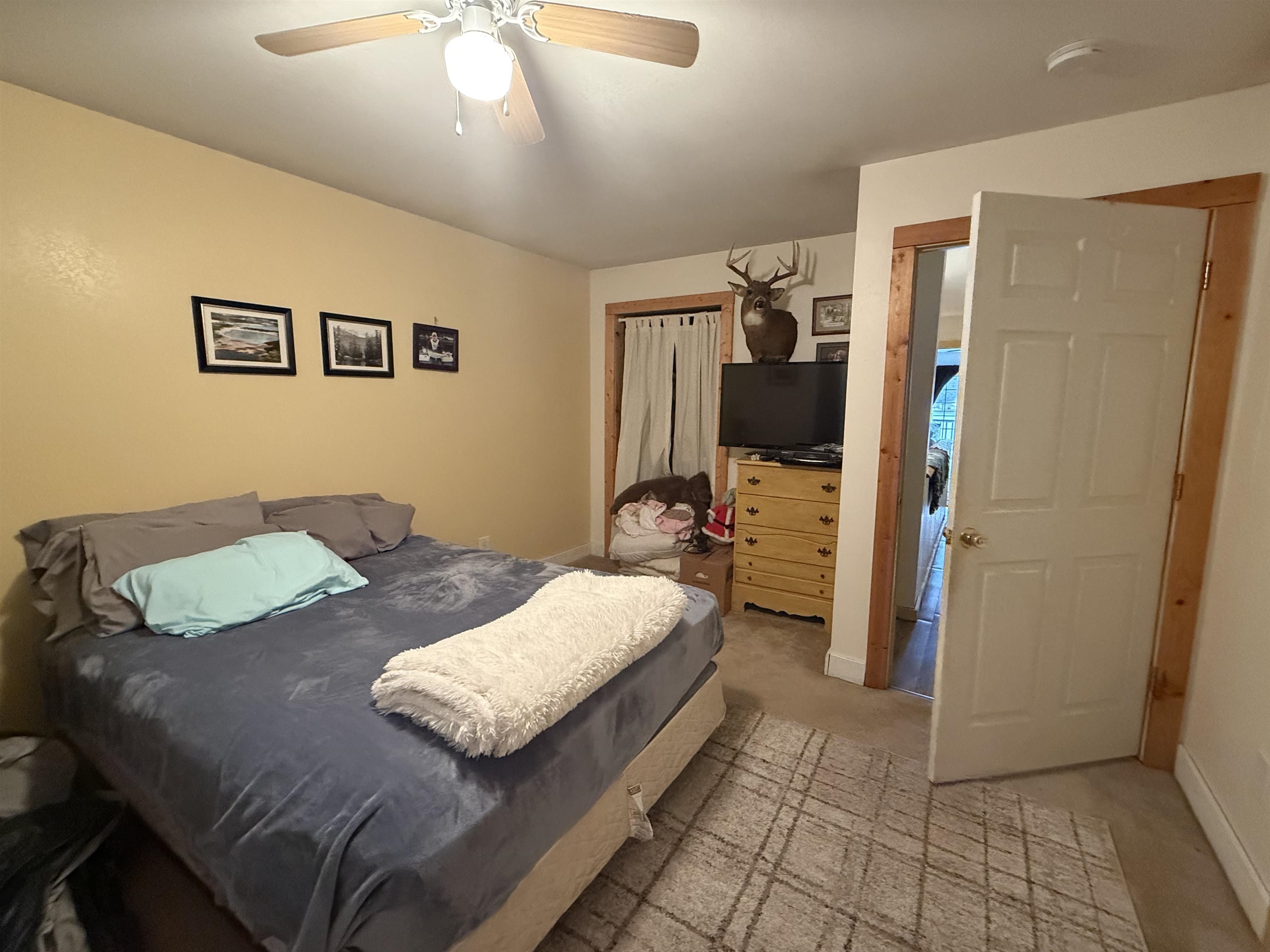 6567 Swallow Road Property Photo 39