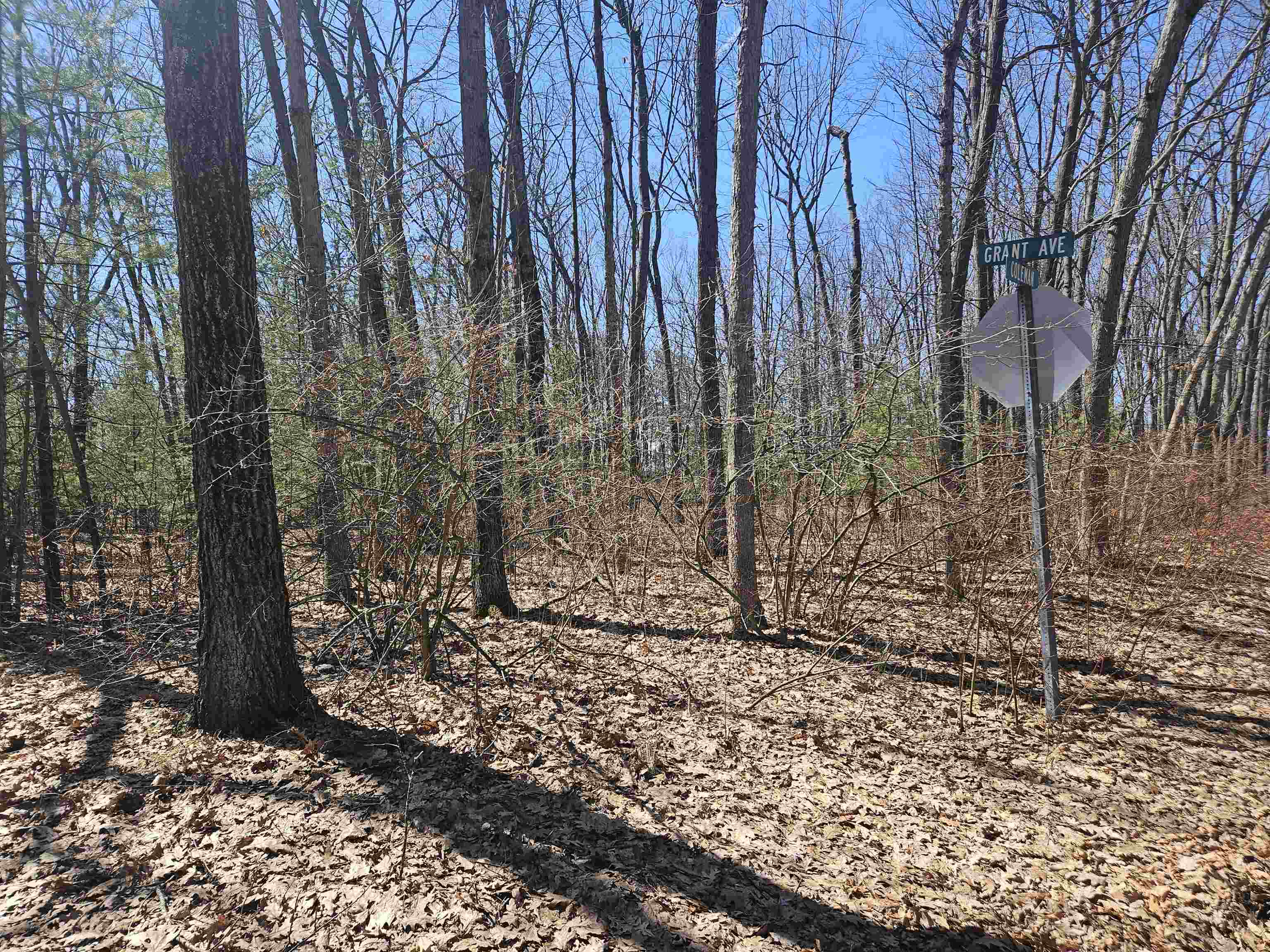 Parcel A Grant Avenue Property Photo 2