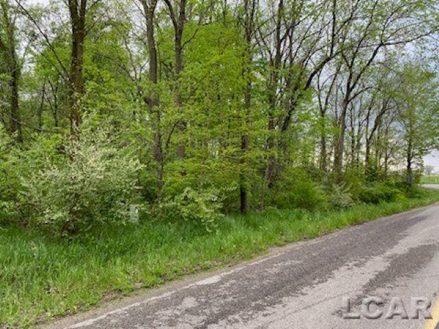 8000 Blk Lot 10 Stephenson Road Property Photo 1