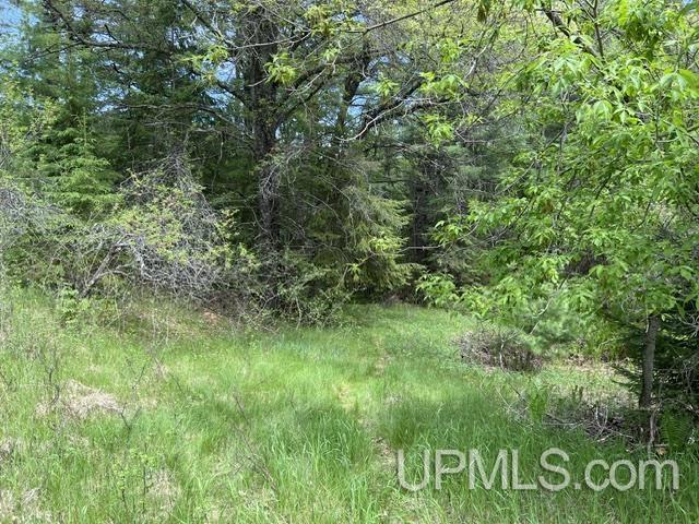 722 North Avenue Property Photo 43