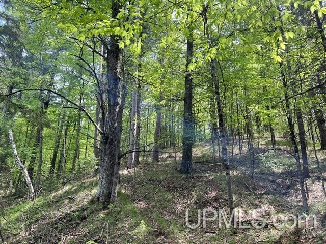 722 North Avenue Property Photo 44
