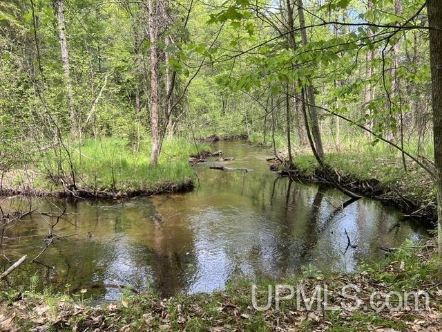 722 North Avenue Property Photo 48