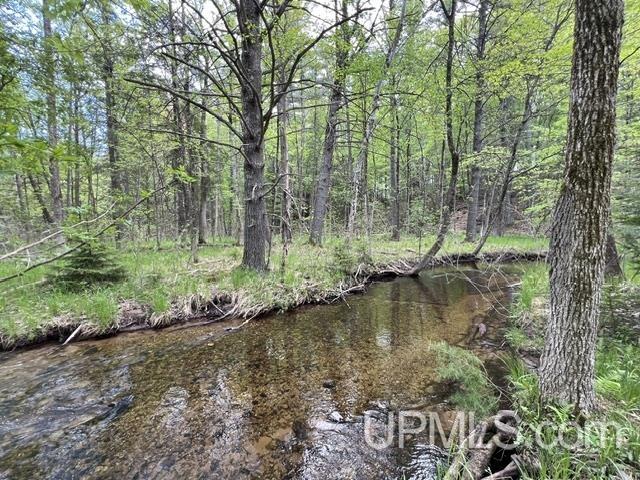 722 North Avenue Property Photo 49