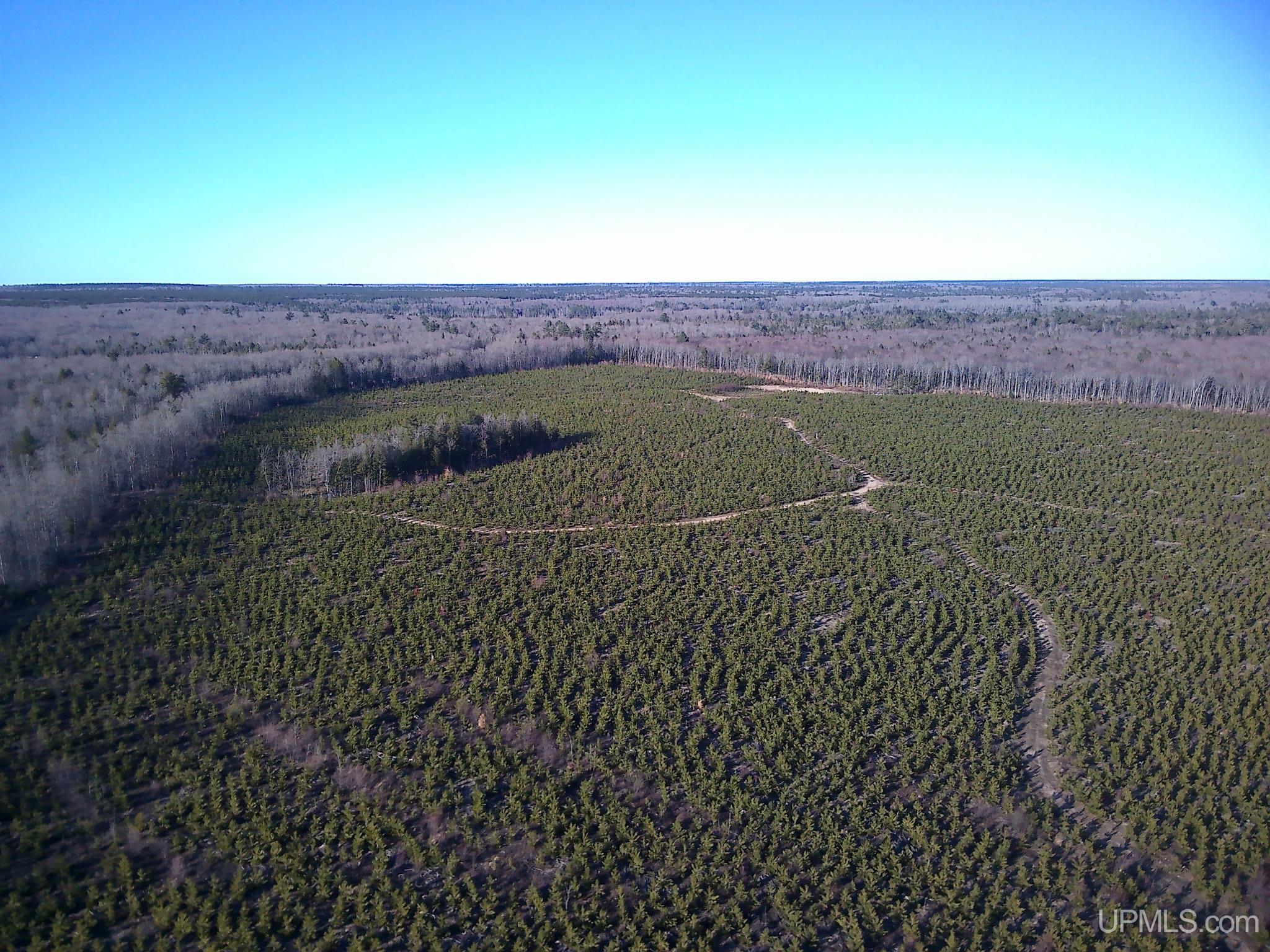 Tbd Parcel 2 16 Mile Lake Road Property Photo 1