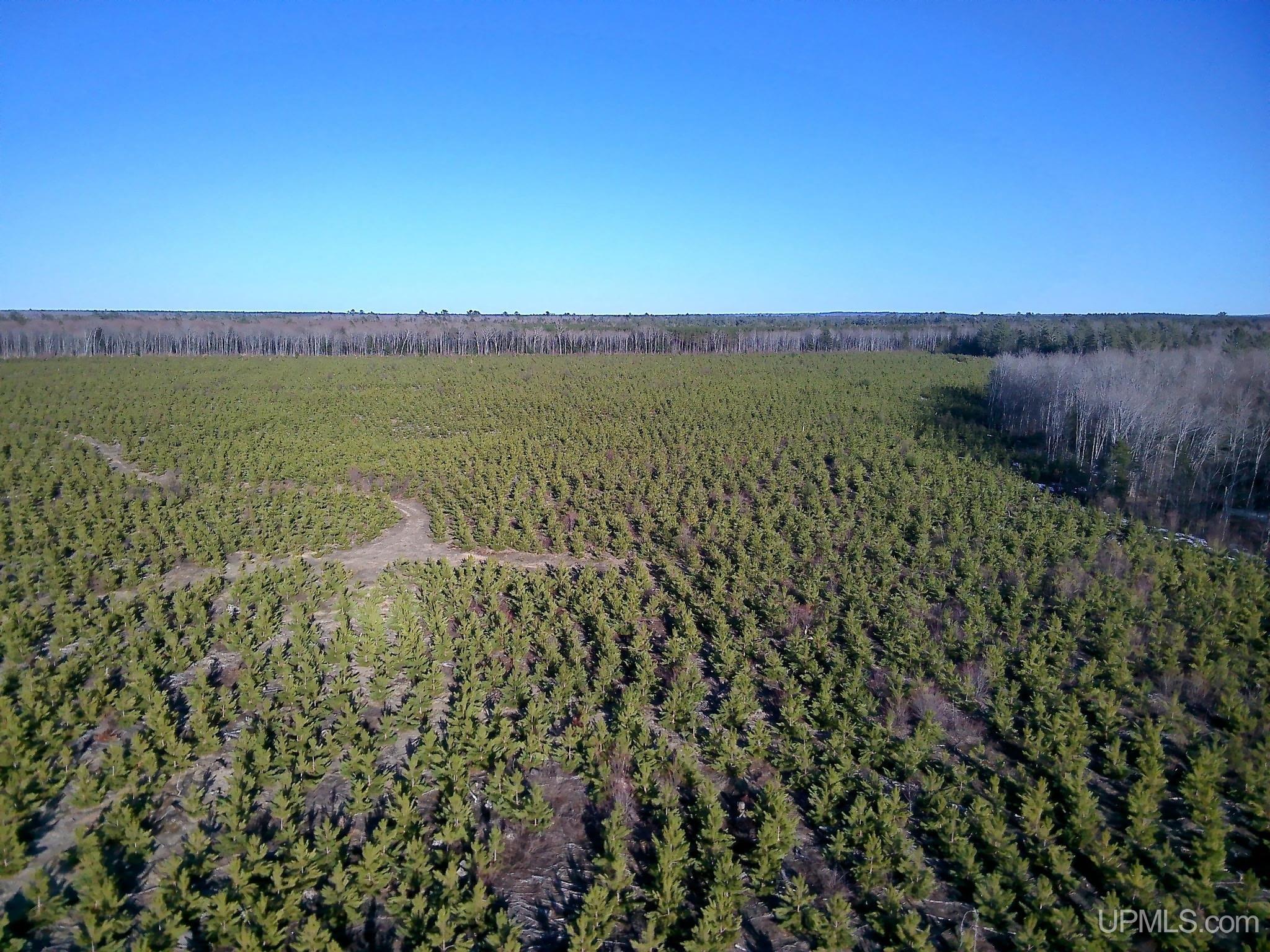 Tbd Parcel 3 16 Mile Lake Road Property Photo 1