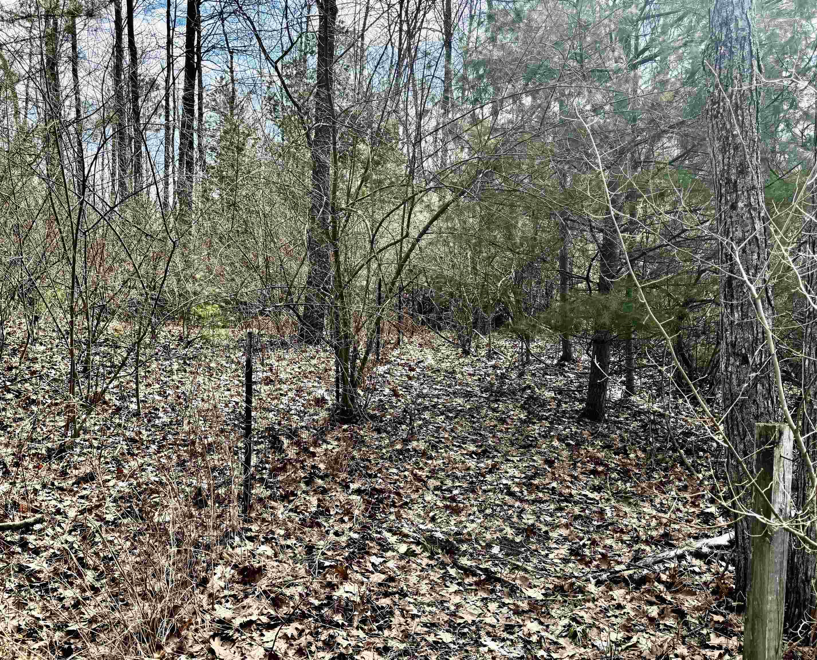 3866 Starr Road Property Photo 16