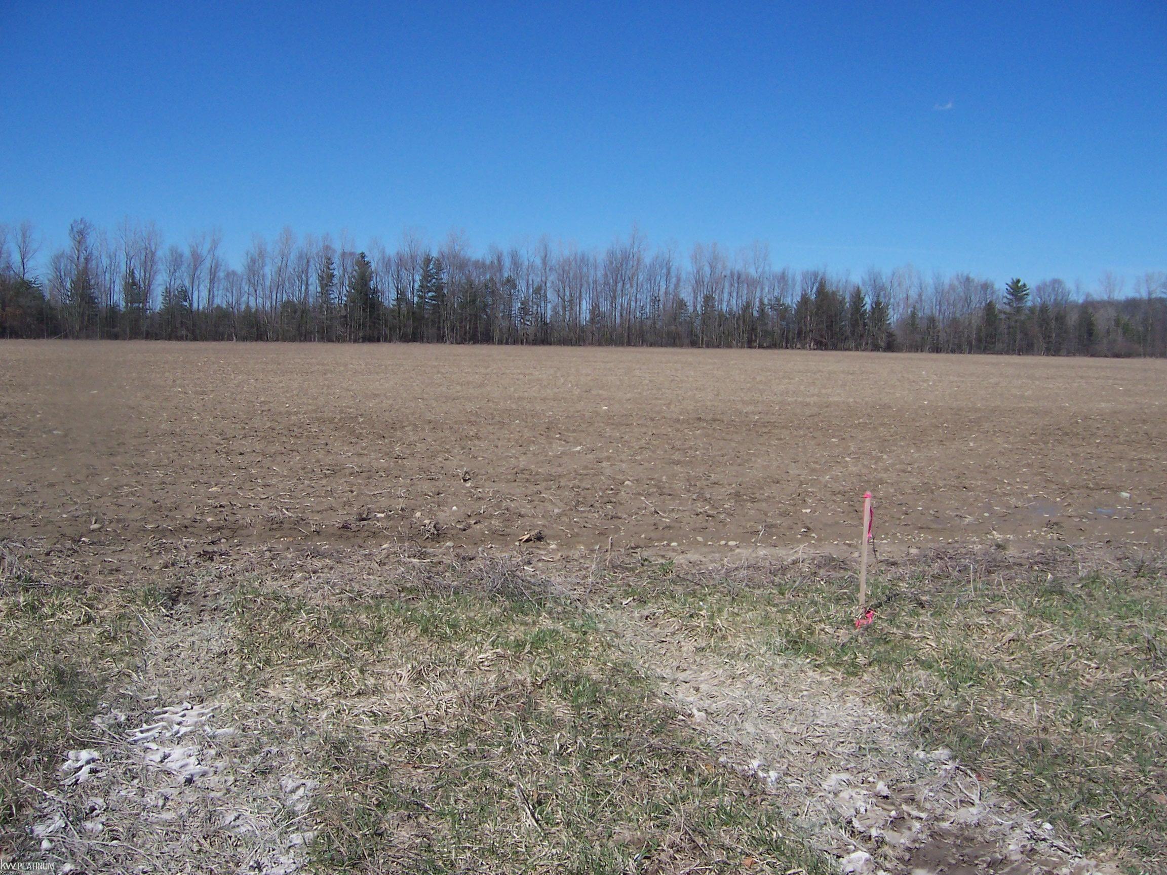 Lot 4 Beard Rd Road Property Photo 1