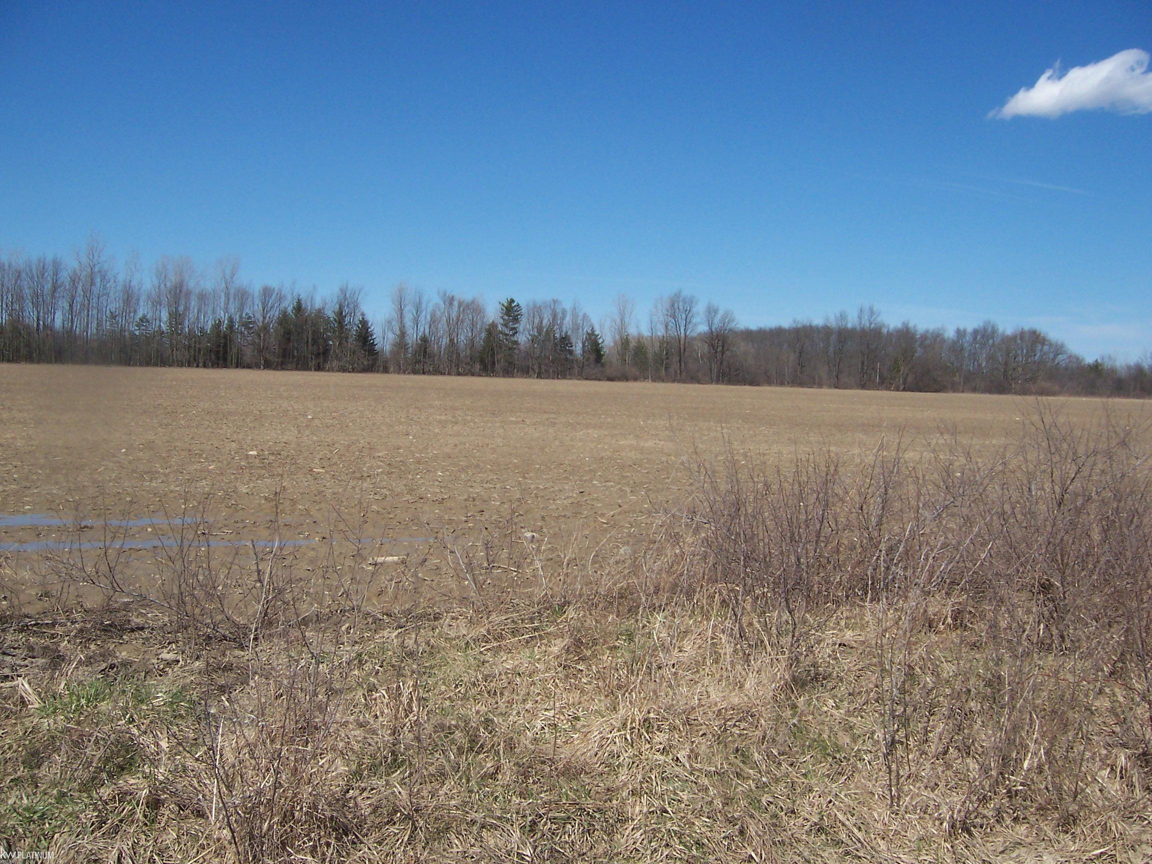 Lot 3 Beard Rd Road Property Photo 1