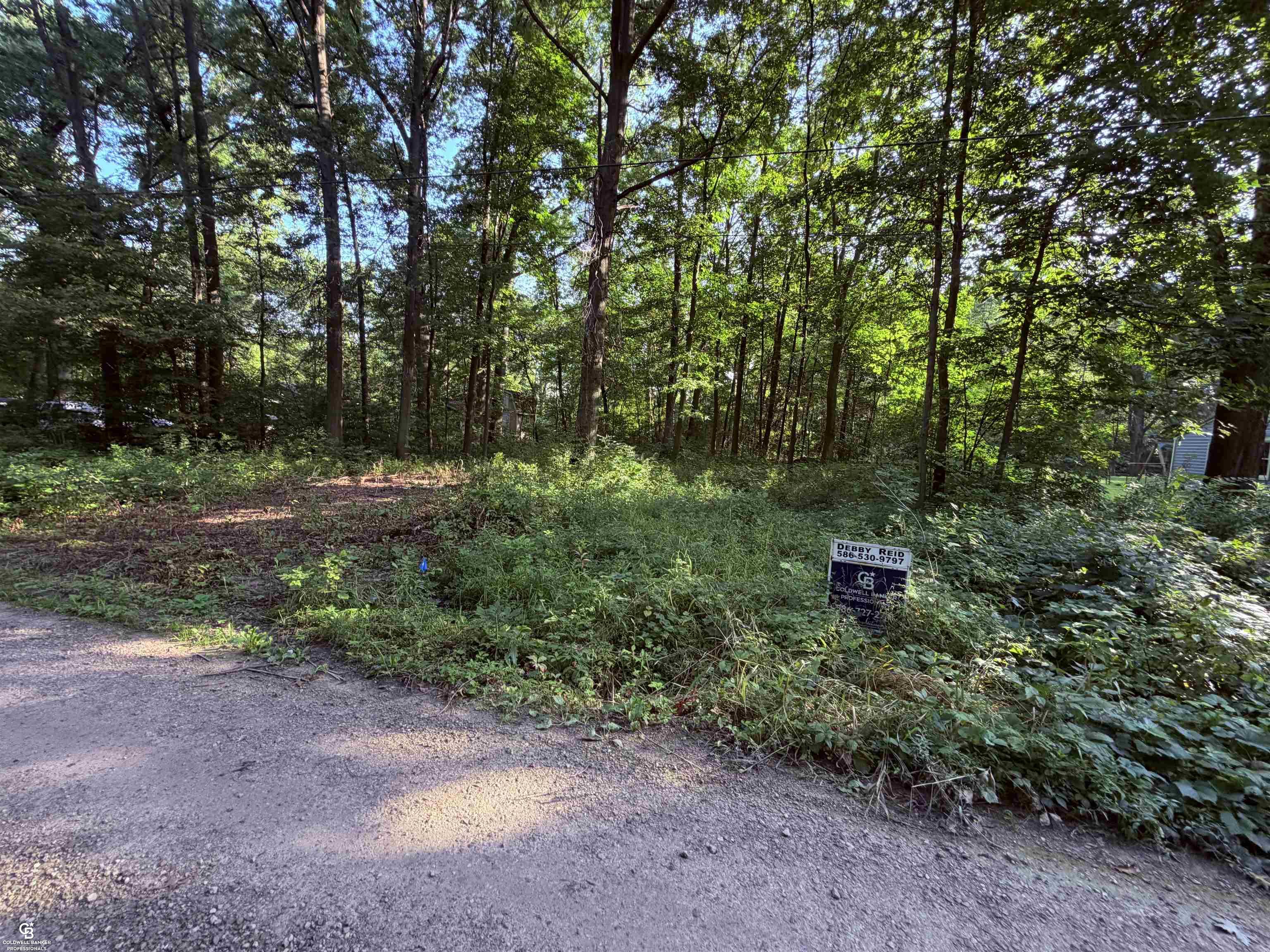 0 Woodland Ln Lane Property Photo 1