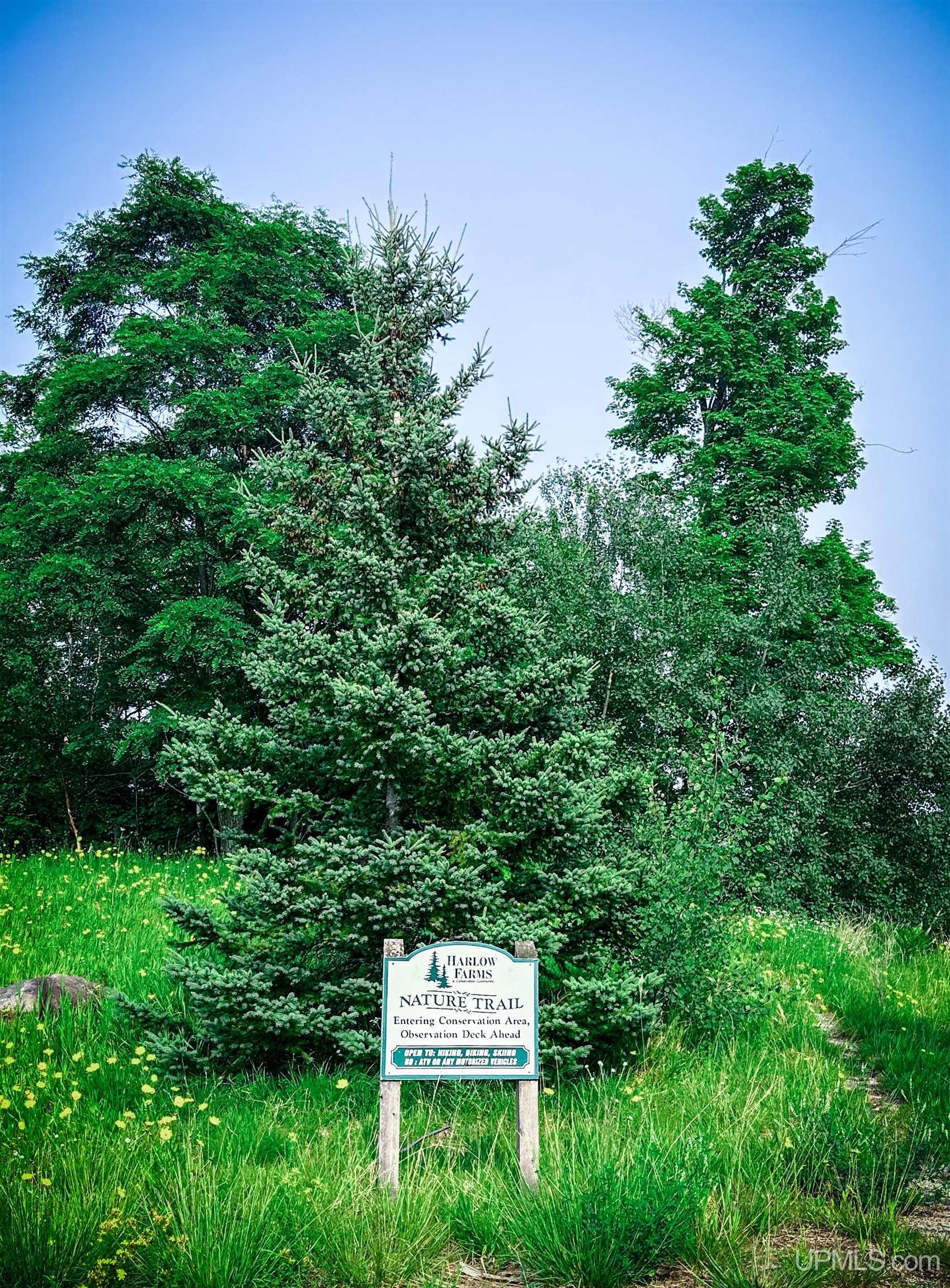 2002 Maple Ridge Drive Property Photo 80