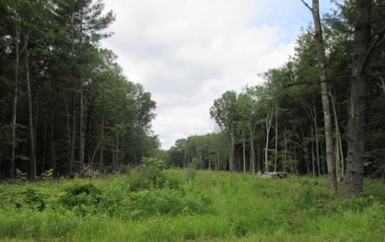 6923 Perrine Road Property Photo 1