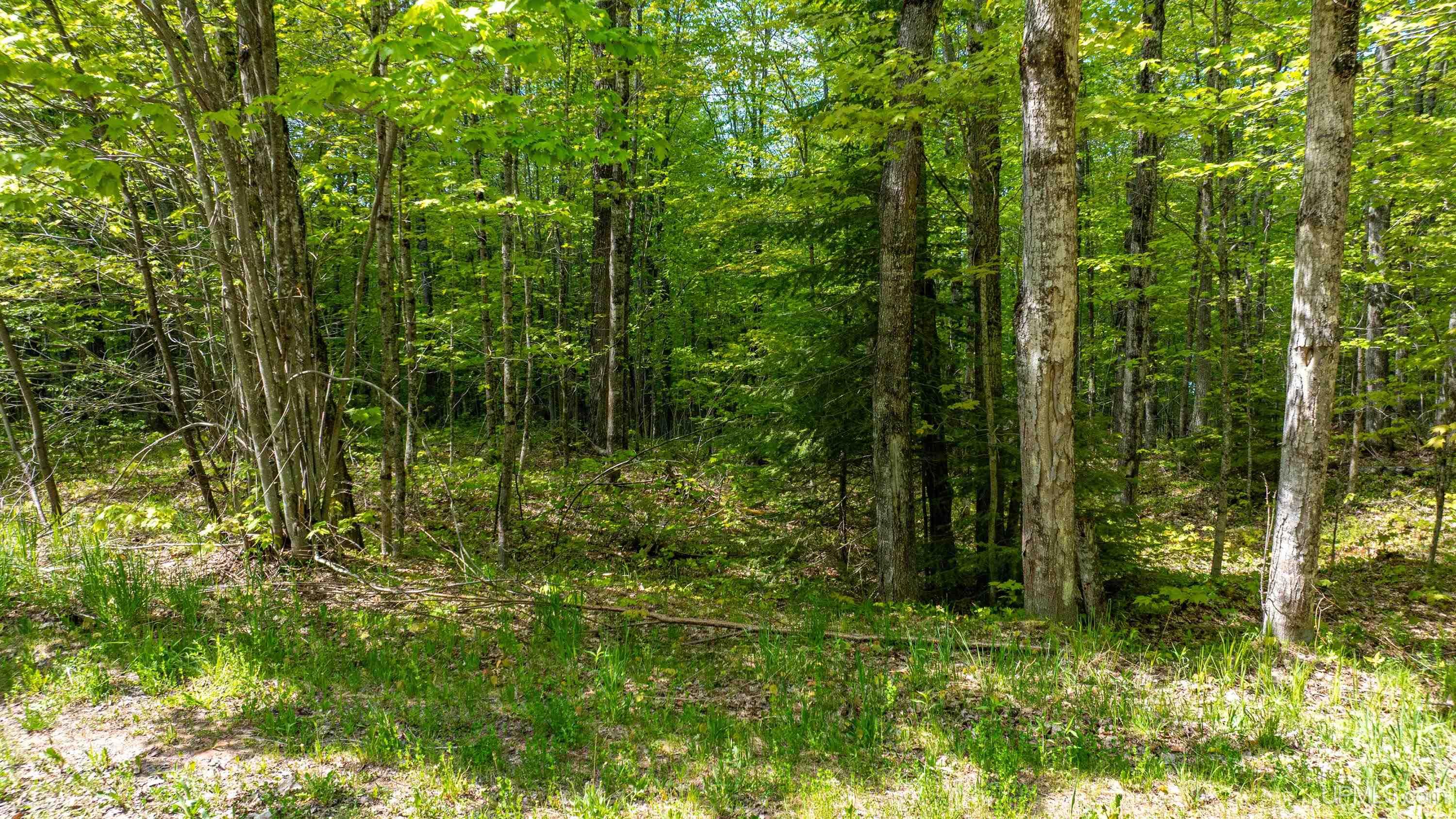 Tbd Lot 23 Keweenaw Pass Property Photo 6
