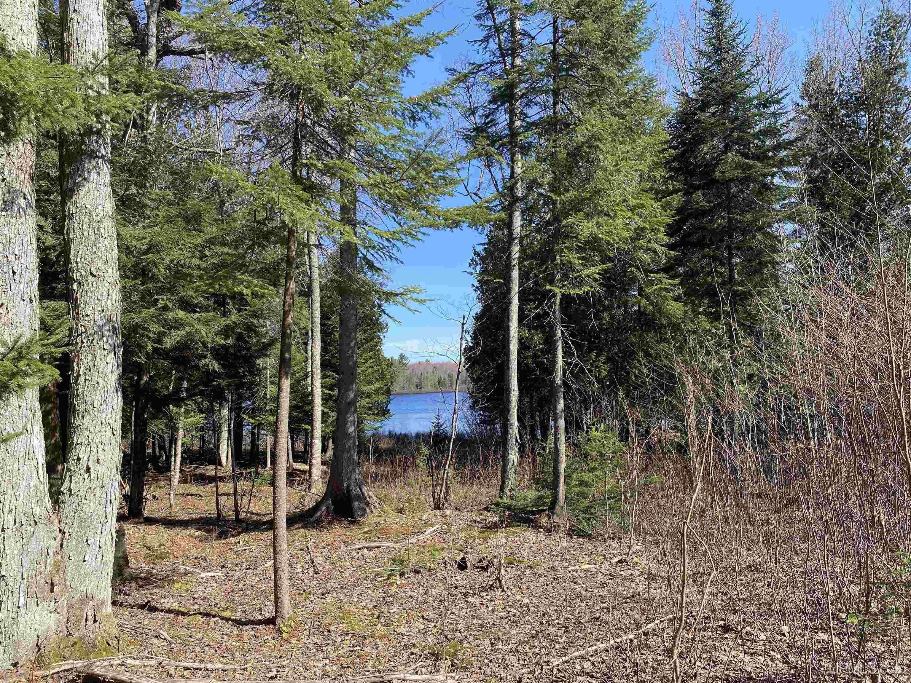 Tbd Lot 23 Keweenaw Pass Property Photo 8
