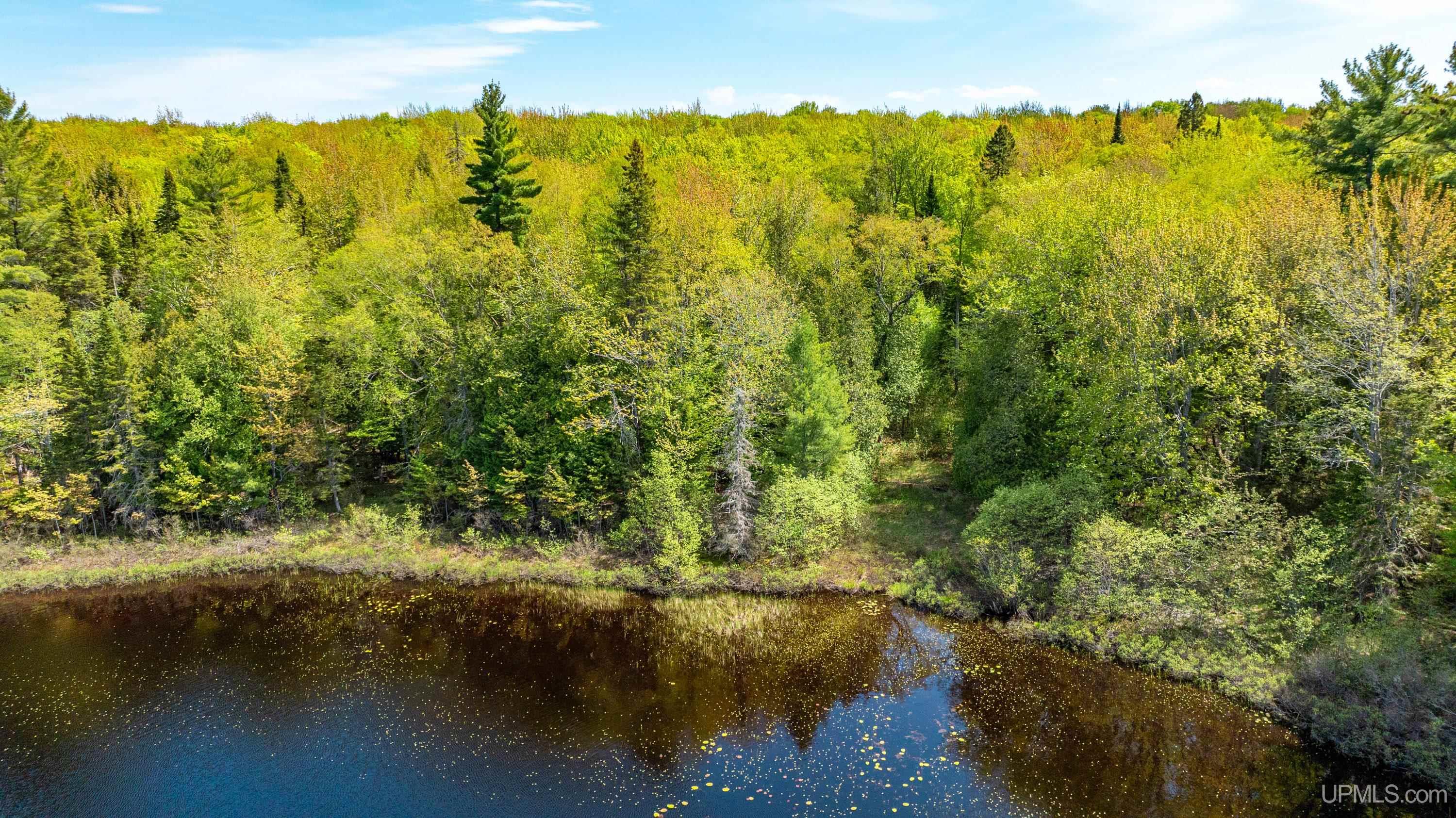 Tbd Lot 23 Keweenaw Pass Property Photo 23